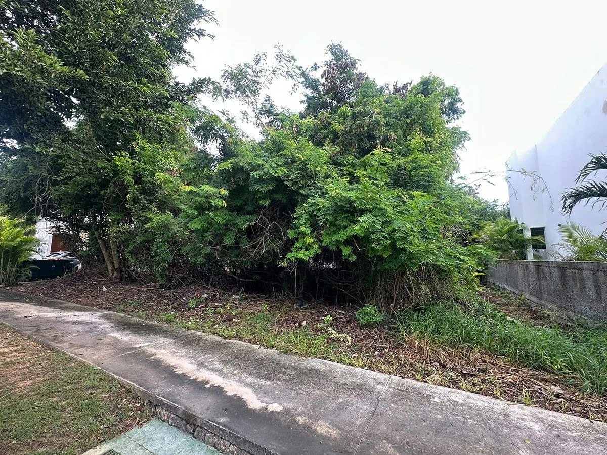 Terreno Spot2