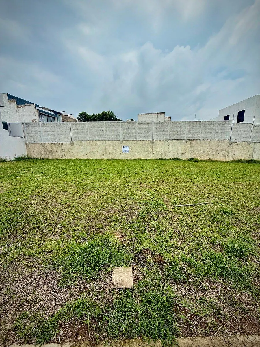 Terreno Spot2