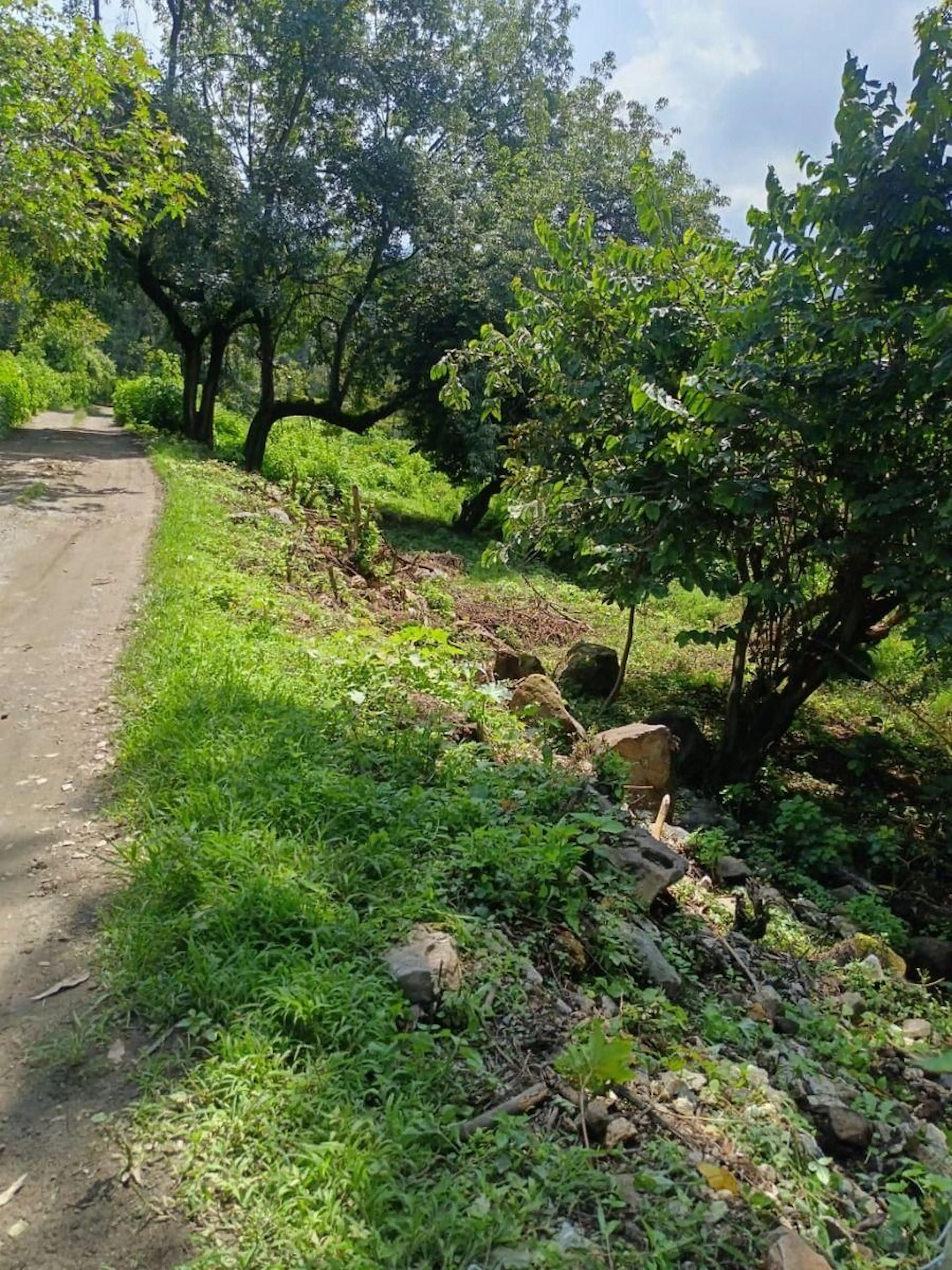 Terreno en Venta – Santa María Pipioltepec