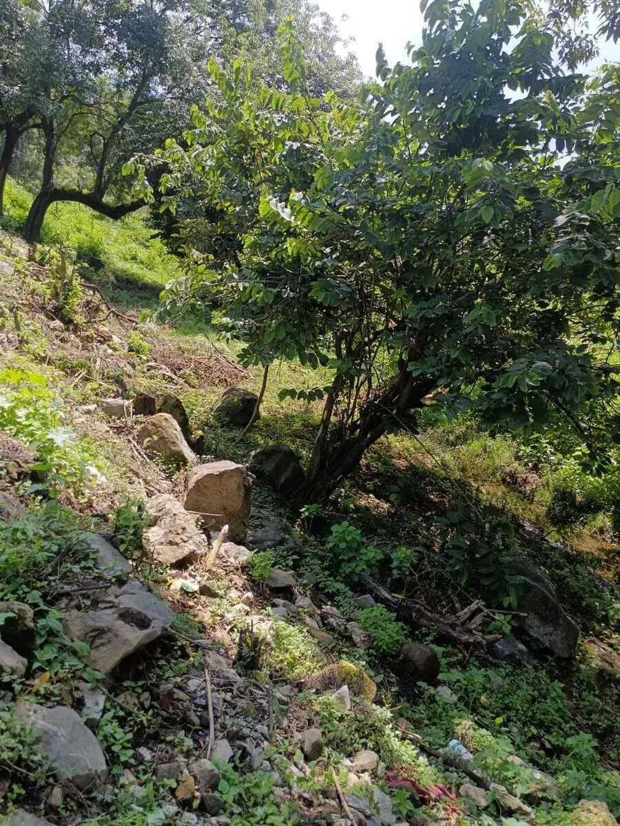 Terreno Spot2