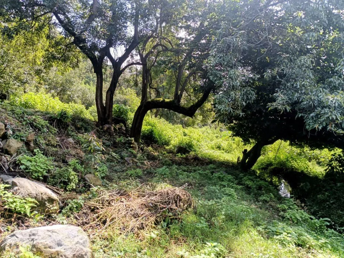 Terreno Spot2