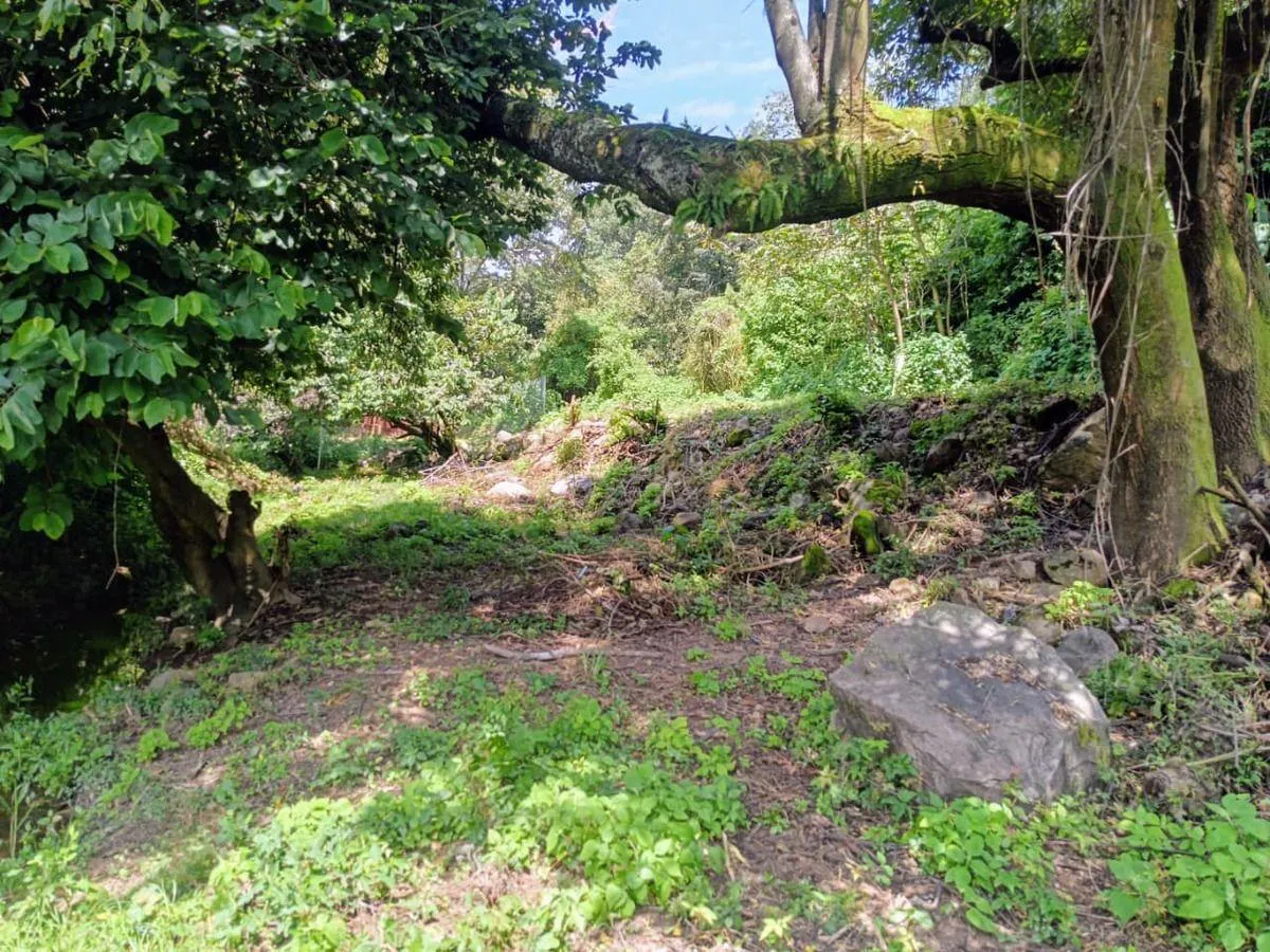 Terreno Spot2
