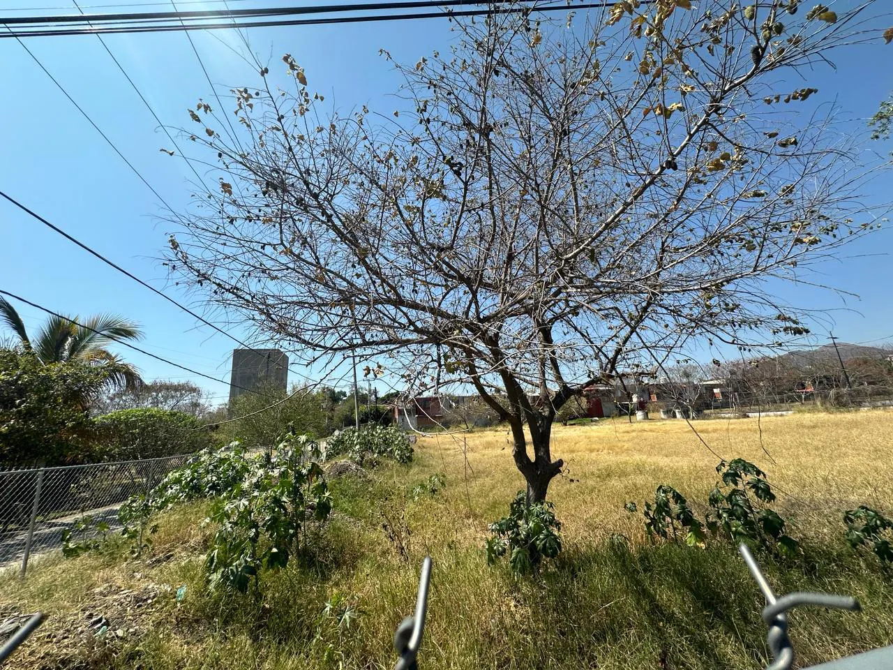 Terreno Spot2