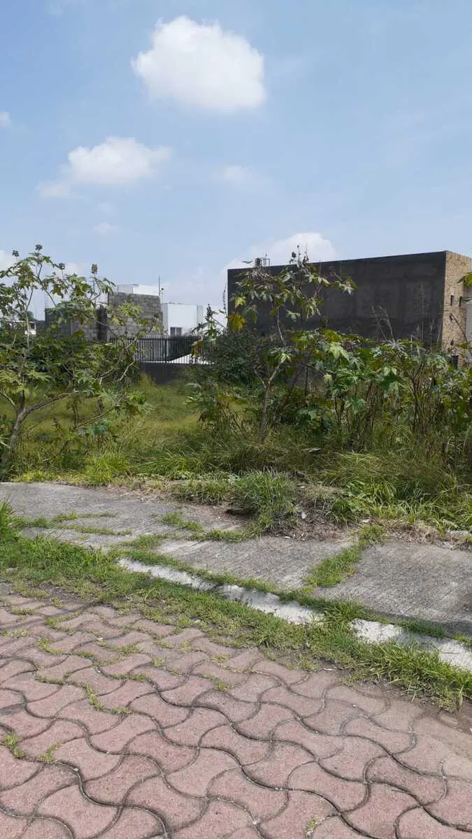 Terreno Spot2