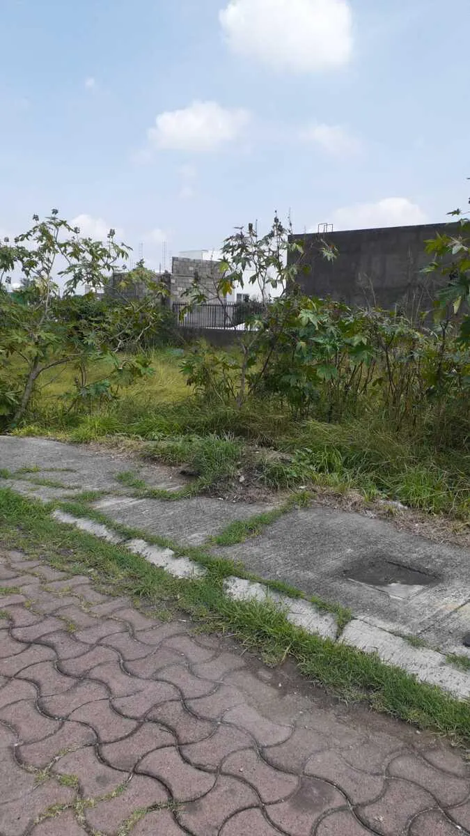 Terreno Spot2