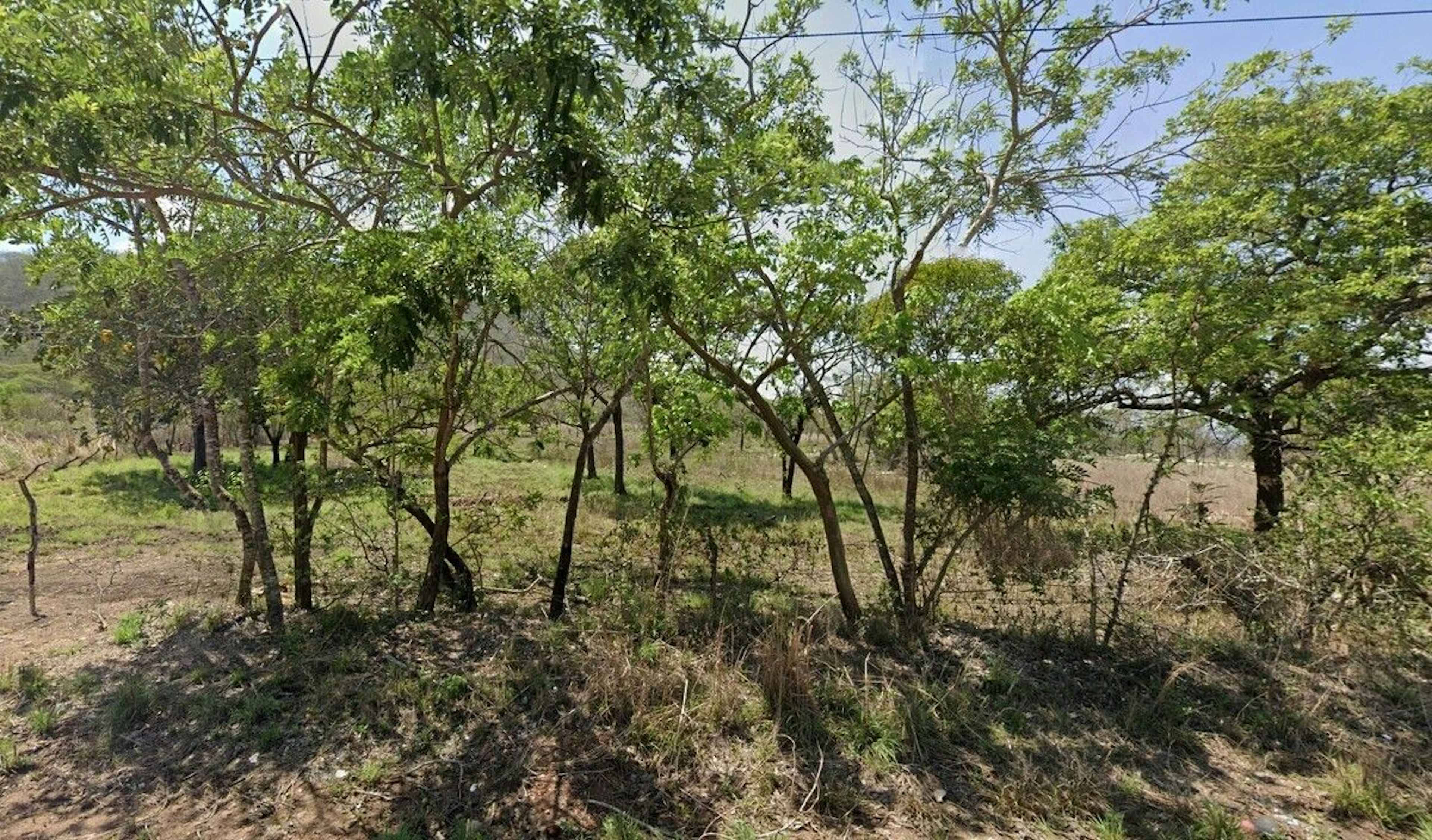 Se Venden  Dos Hectárea De Terreno A Un Super Precio!!