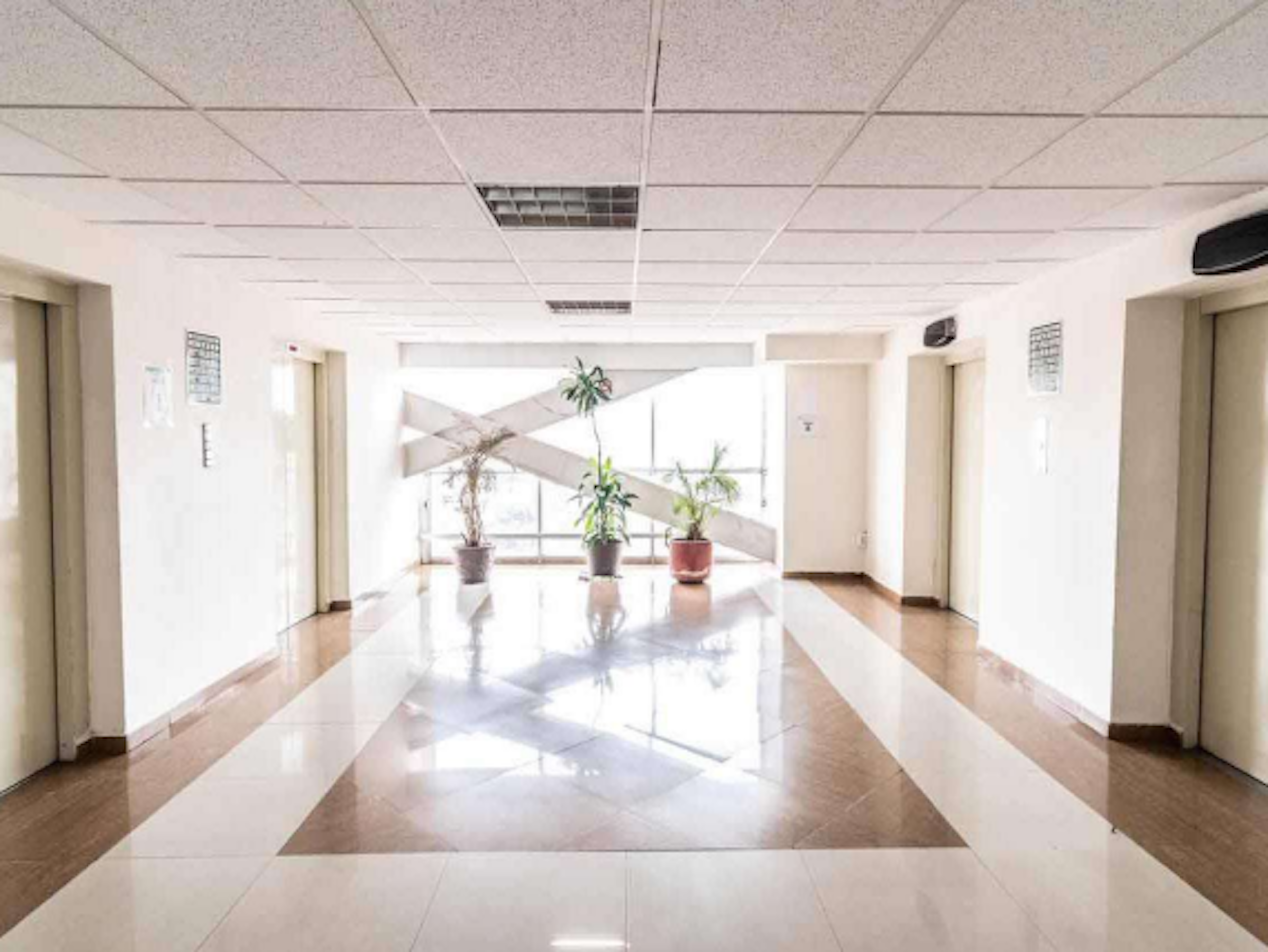 La imagen muestra un pasillo amplio y luminoso de un edificio, posiblemente un área de oficinas o un espacio comercial. El piso es de baldosas brillantes con un diseño geométrico. Hay puertas de ascensor a ambos lados y plantas decorativas en macetas frente a una gran ventana al fondo. El techo tiene paneles blancos y la iluminación es abundante, creando un ambiente limpio y profesional.