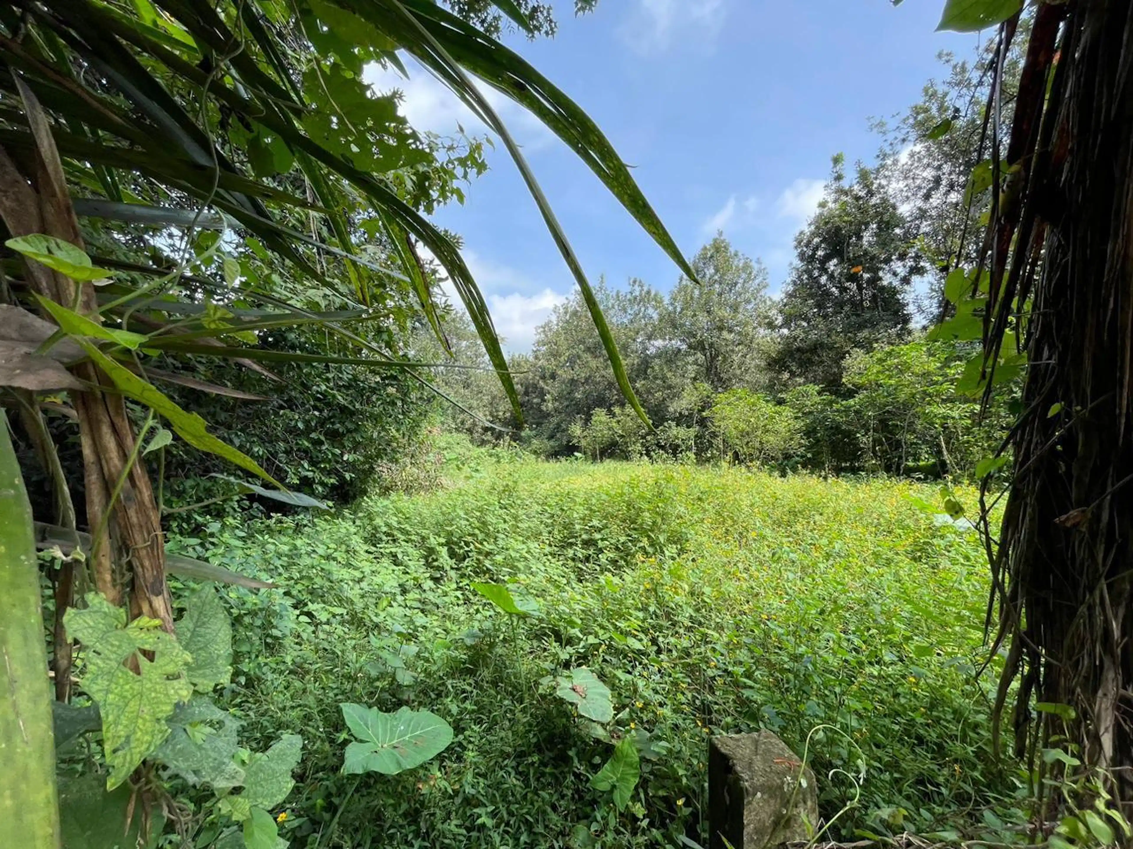 Terreno En Venta Zona Balneario "agua Alegre"