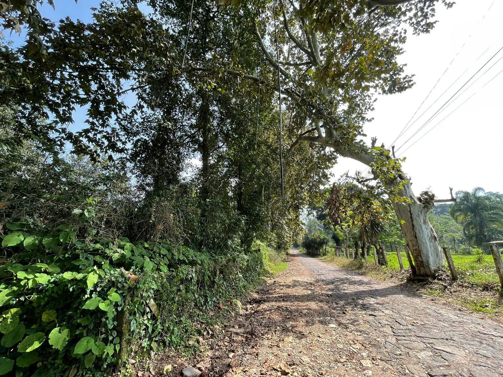 Terreno Spot2