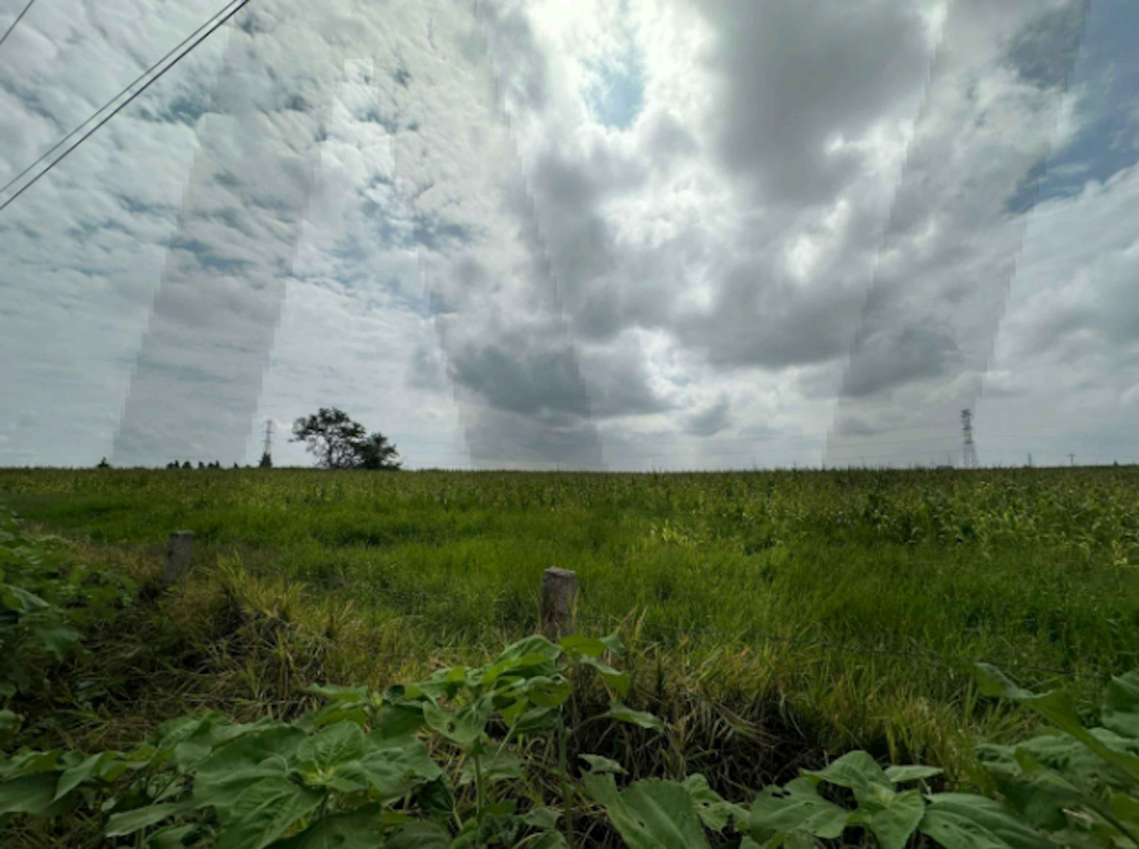 Calle Venustiano Carranza 2316