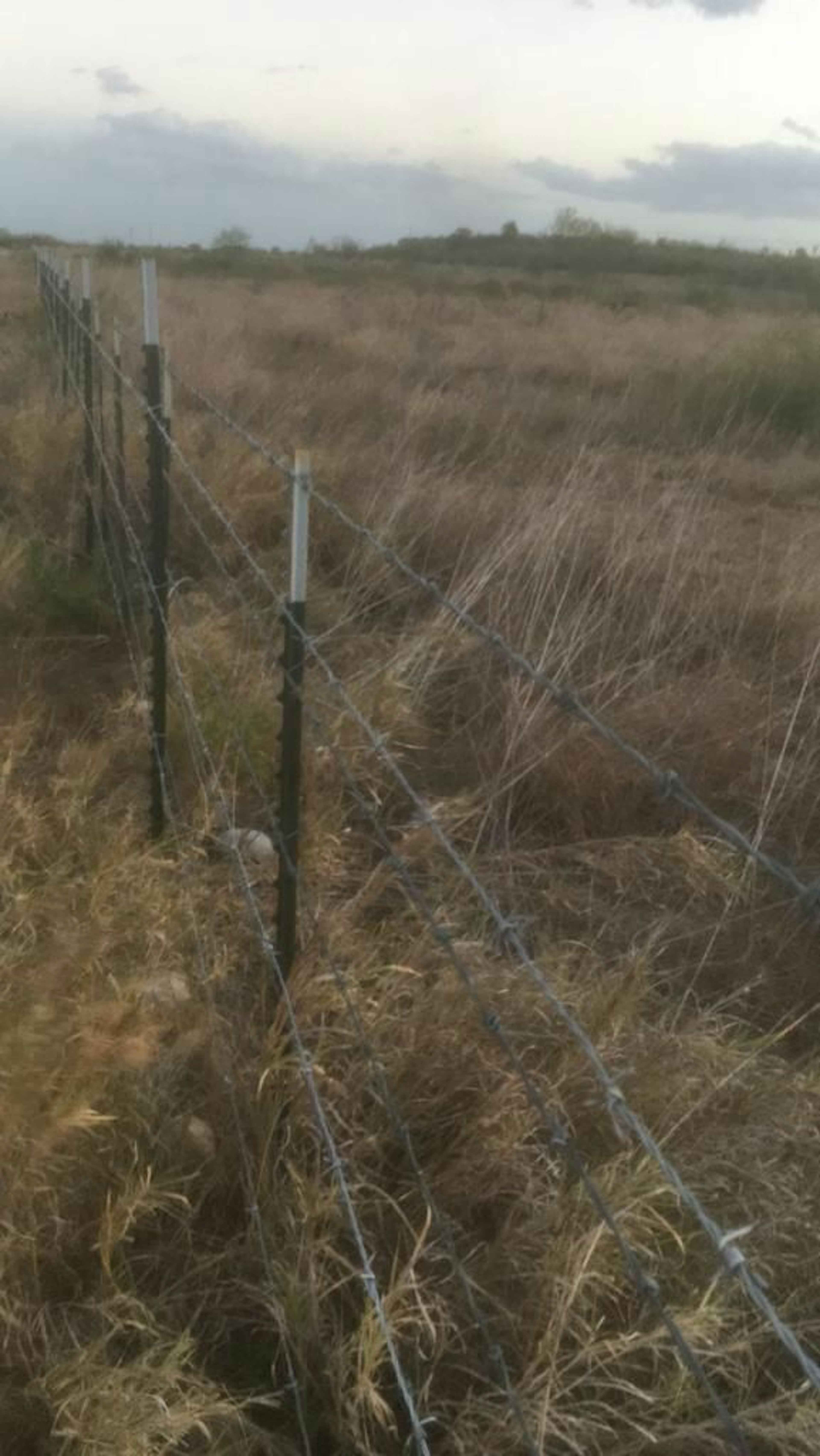 Terreno De Oportunidad Carretera Reynosa/cadereyta