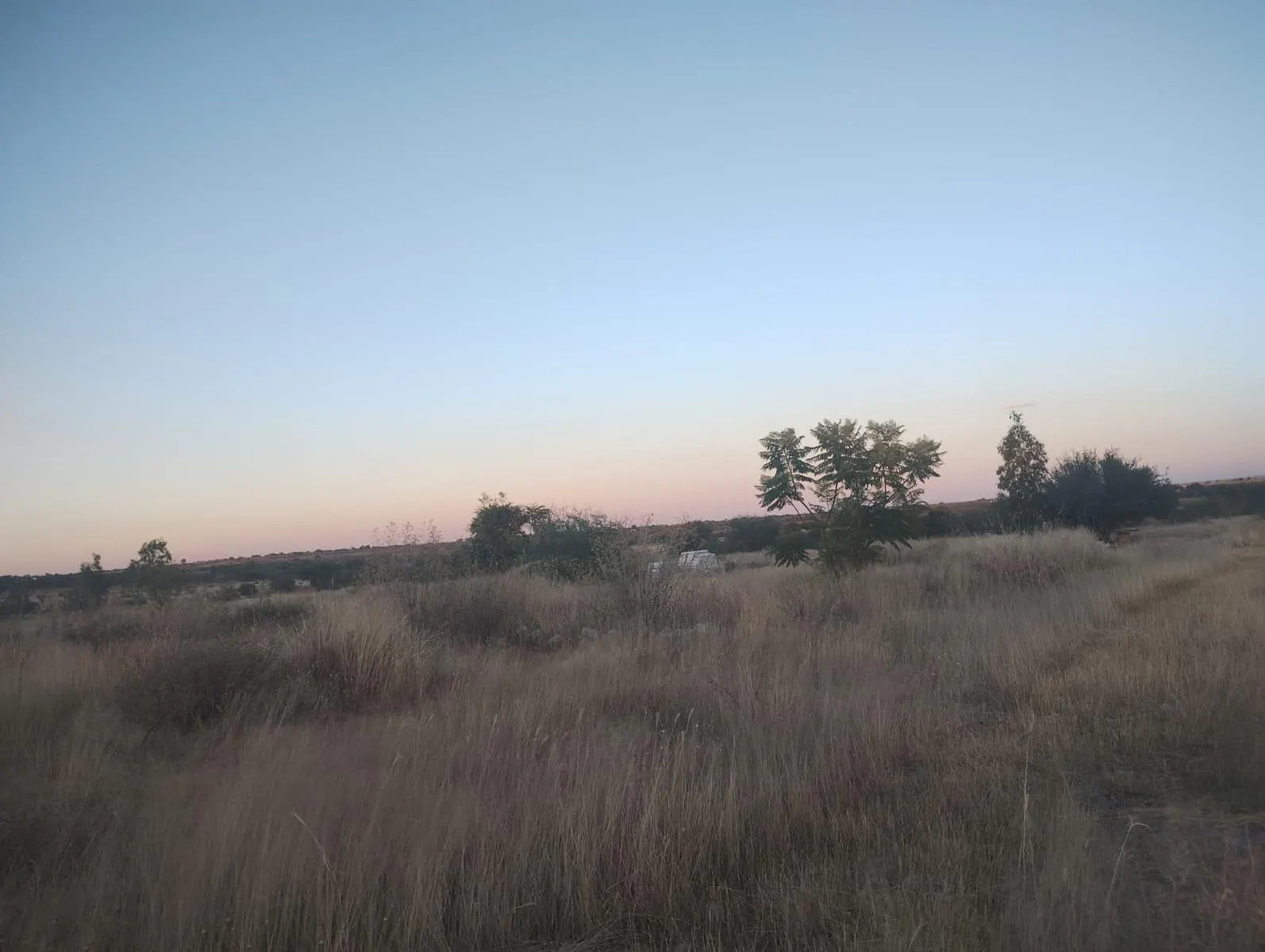 Terreno Spot2