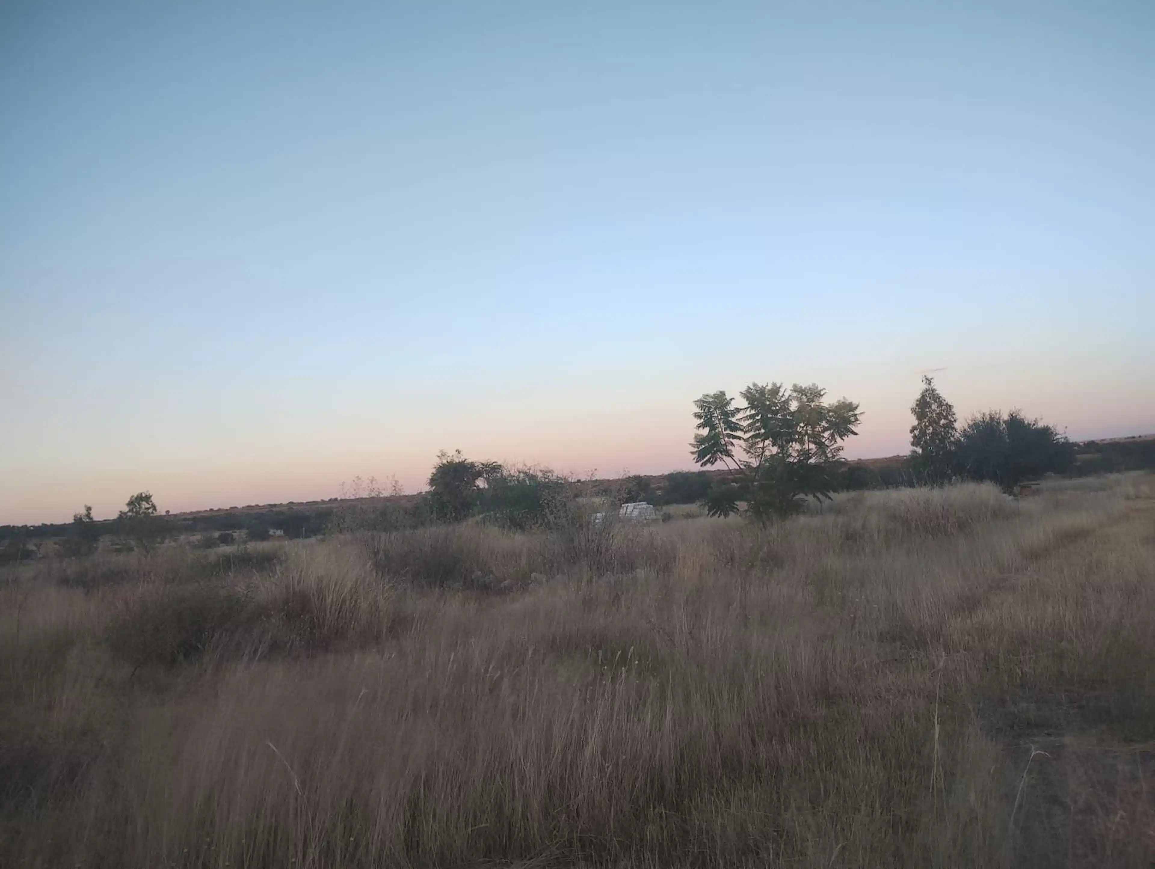 Terreno En Rancho O Rancheria Salto De Los Salados, Aguascalientes