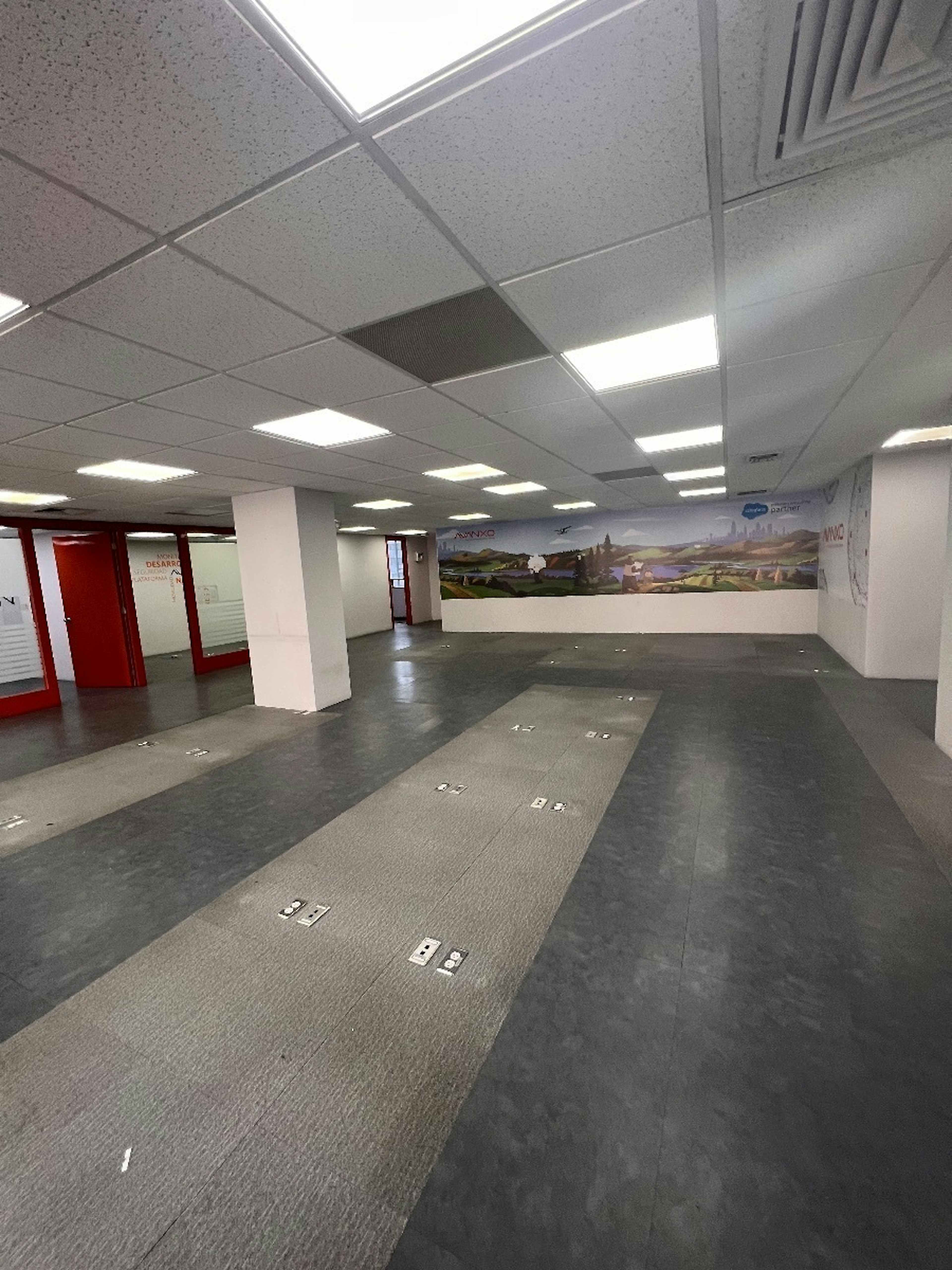 Avenida Paseo De Las Palmas 115