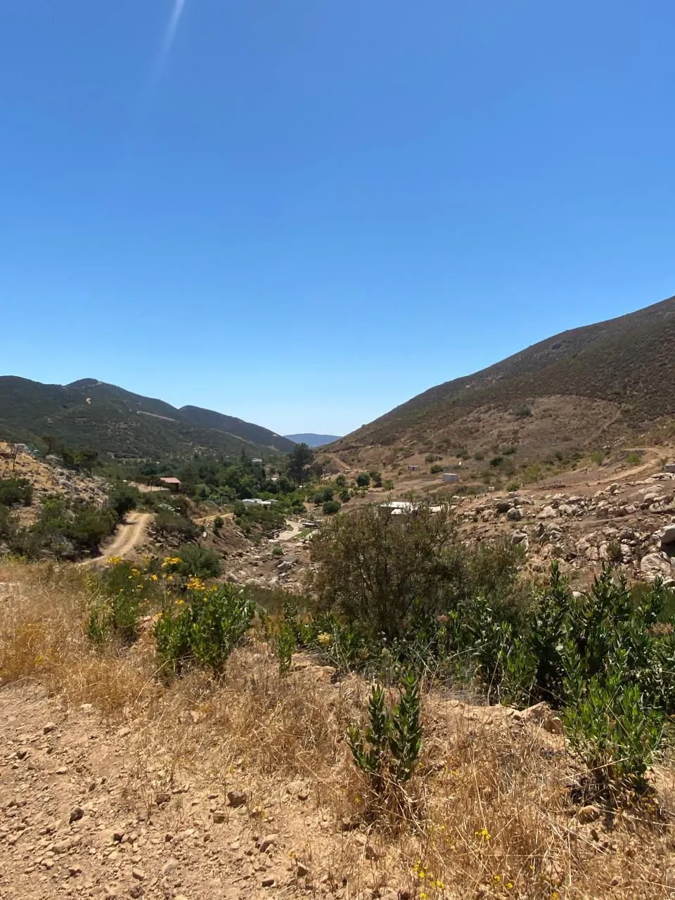 Terreno Spot2