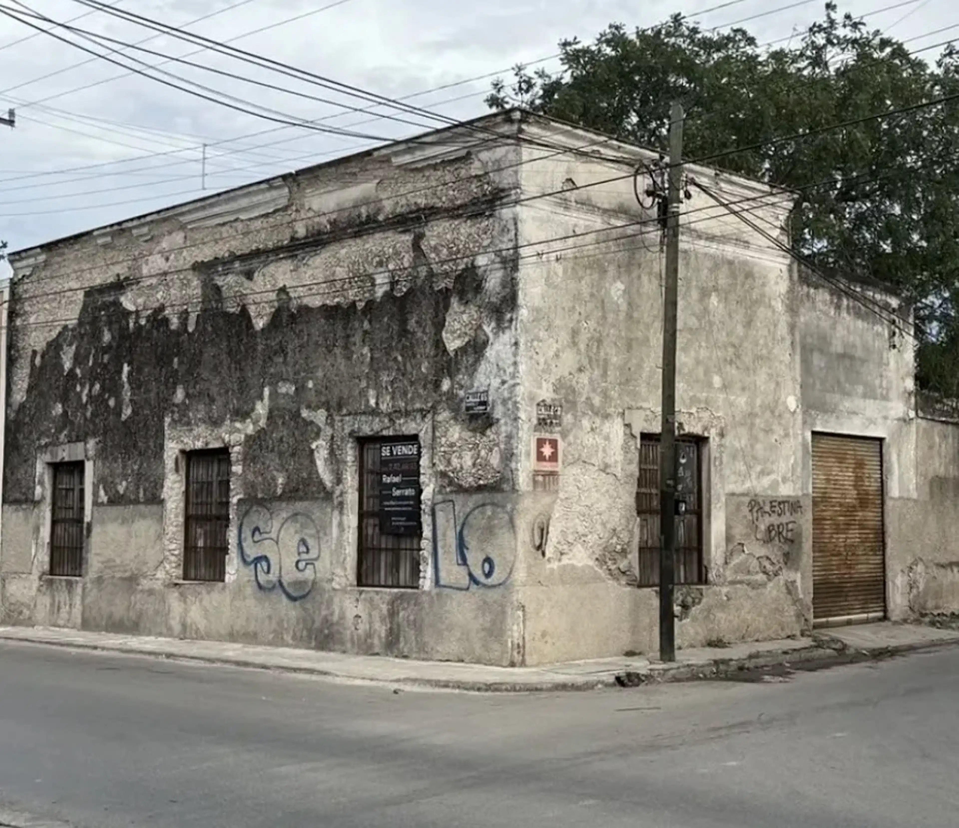 Calle 40 40