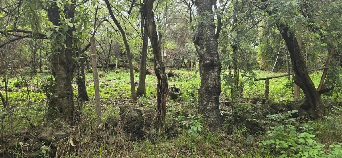 Terreno Spot2