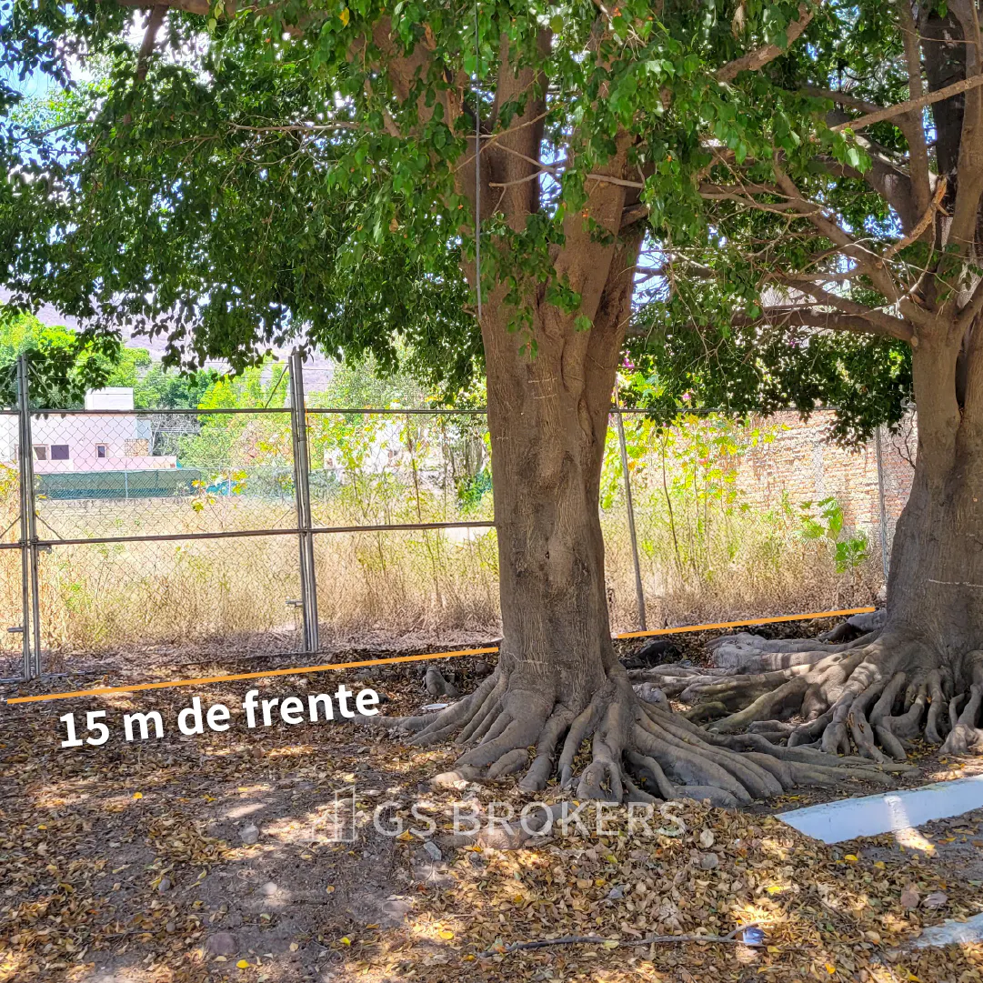 Terreno Spot2