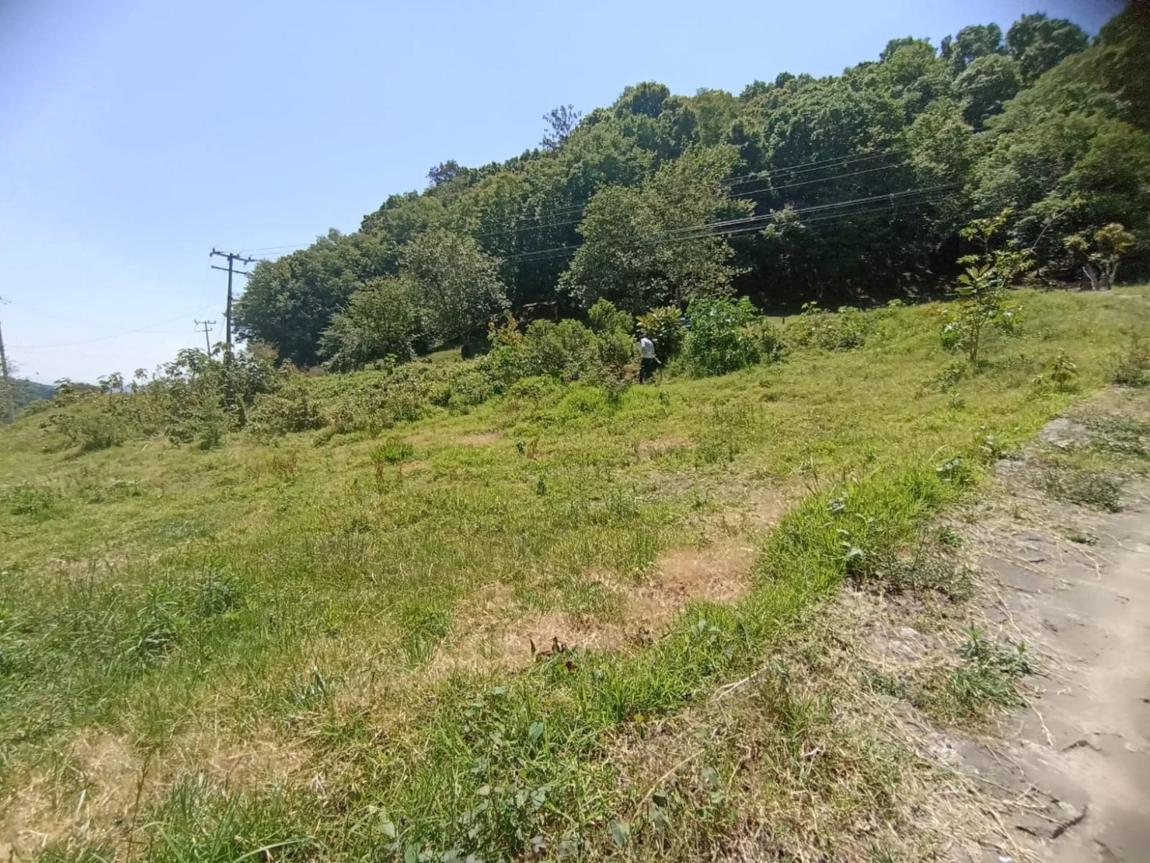 Terreno En Venta En Piletas A15 Min. De Xalapa Con Acceso Pavimentado