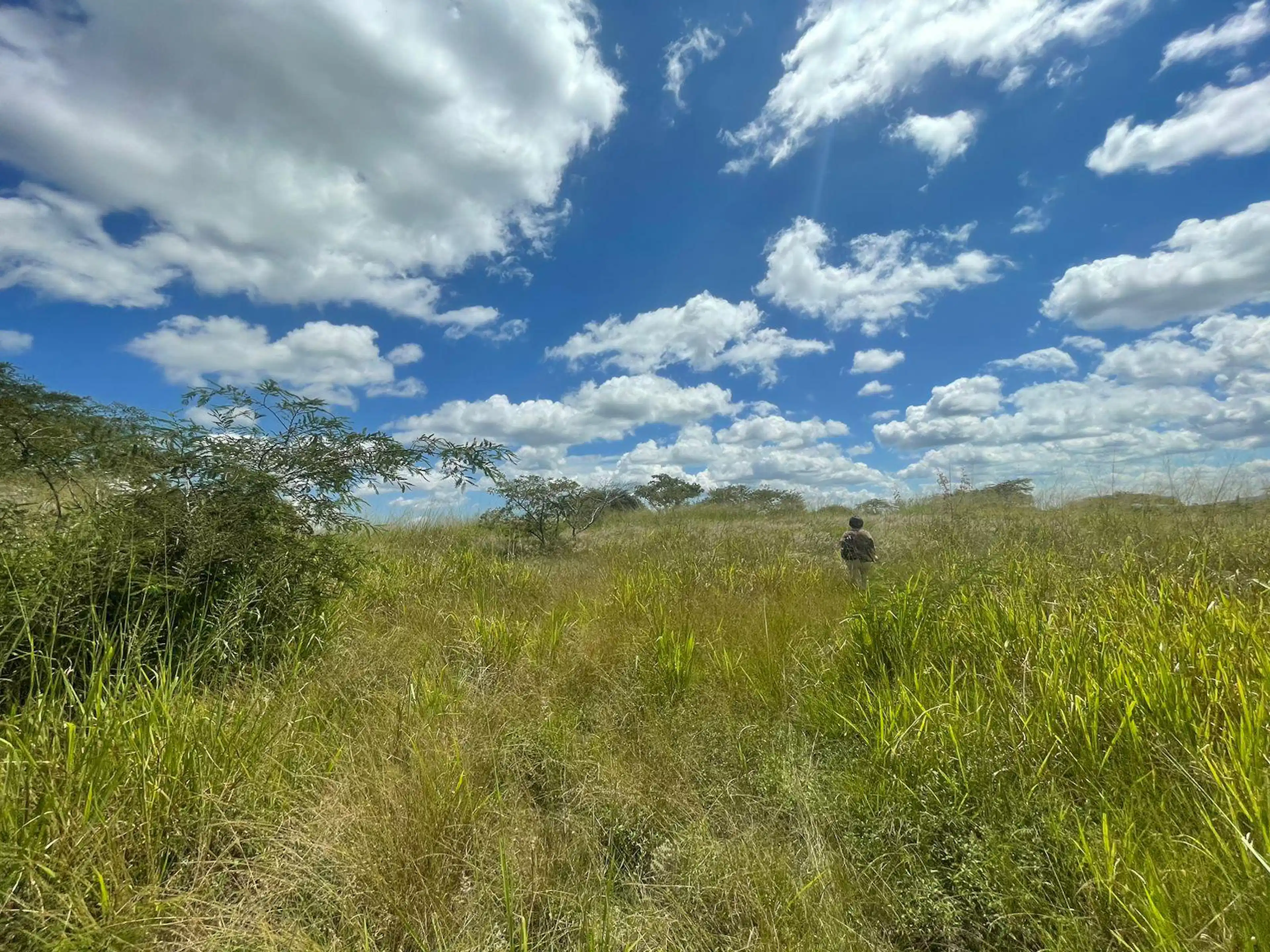 Terreno En Venta En 2 Rios Emiliano Zapata Veracruz.
