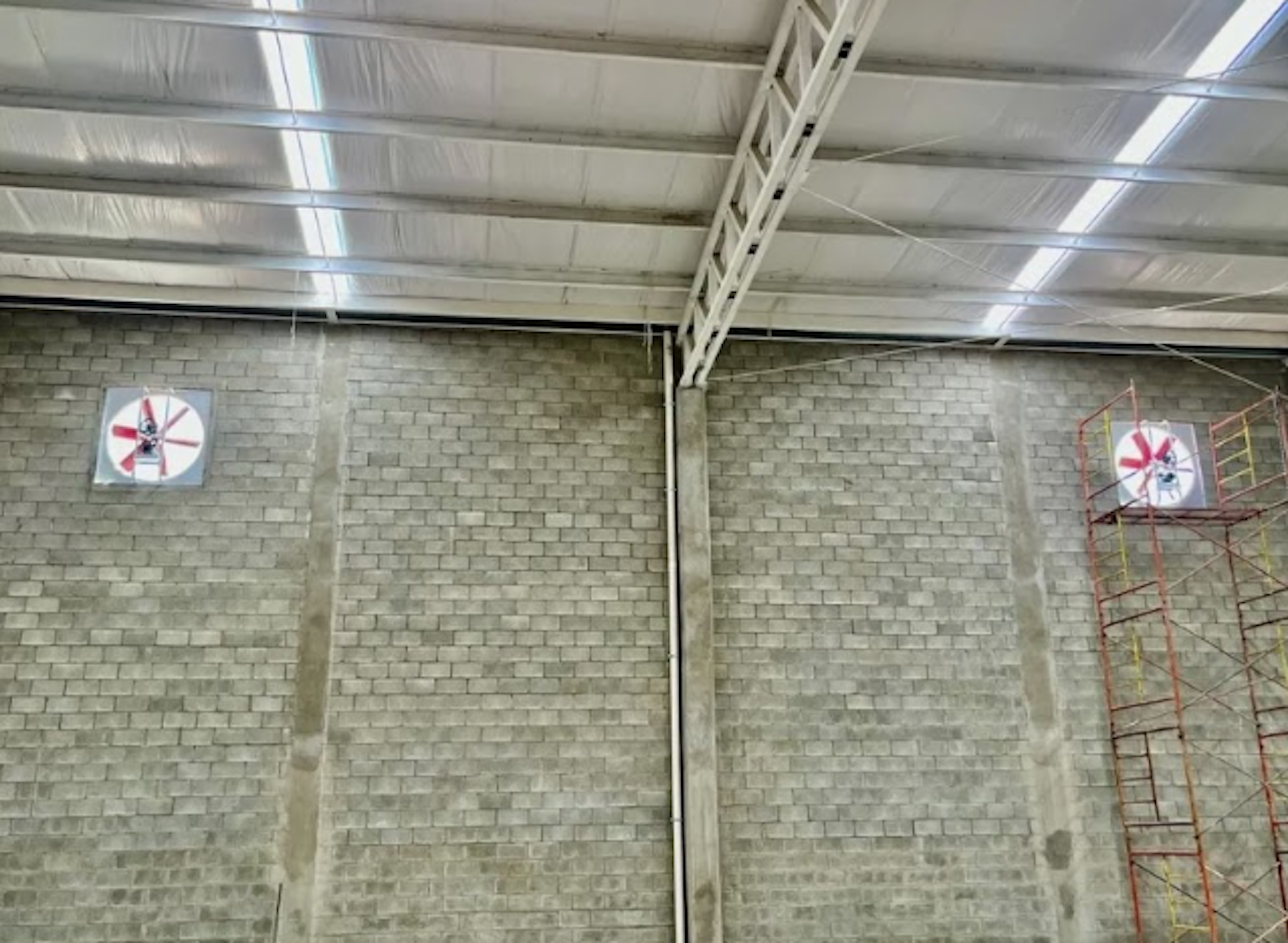 Spot image 0