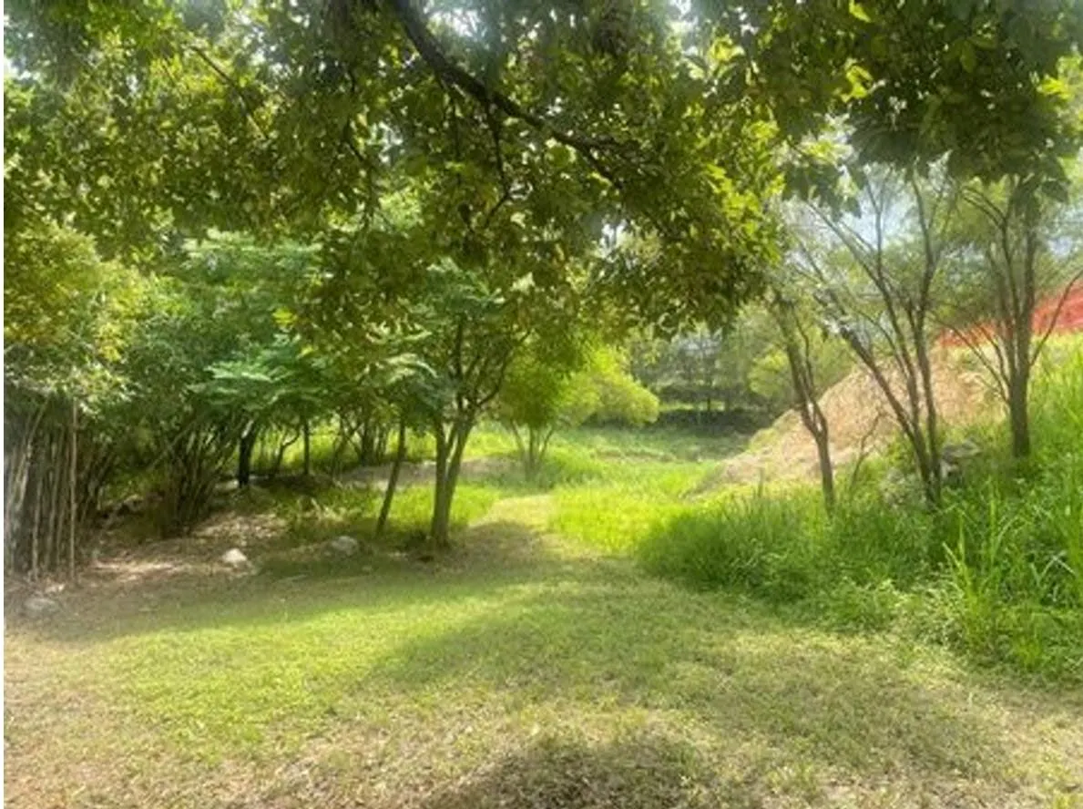 Terreno Spot2