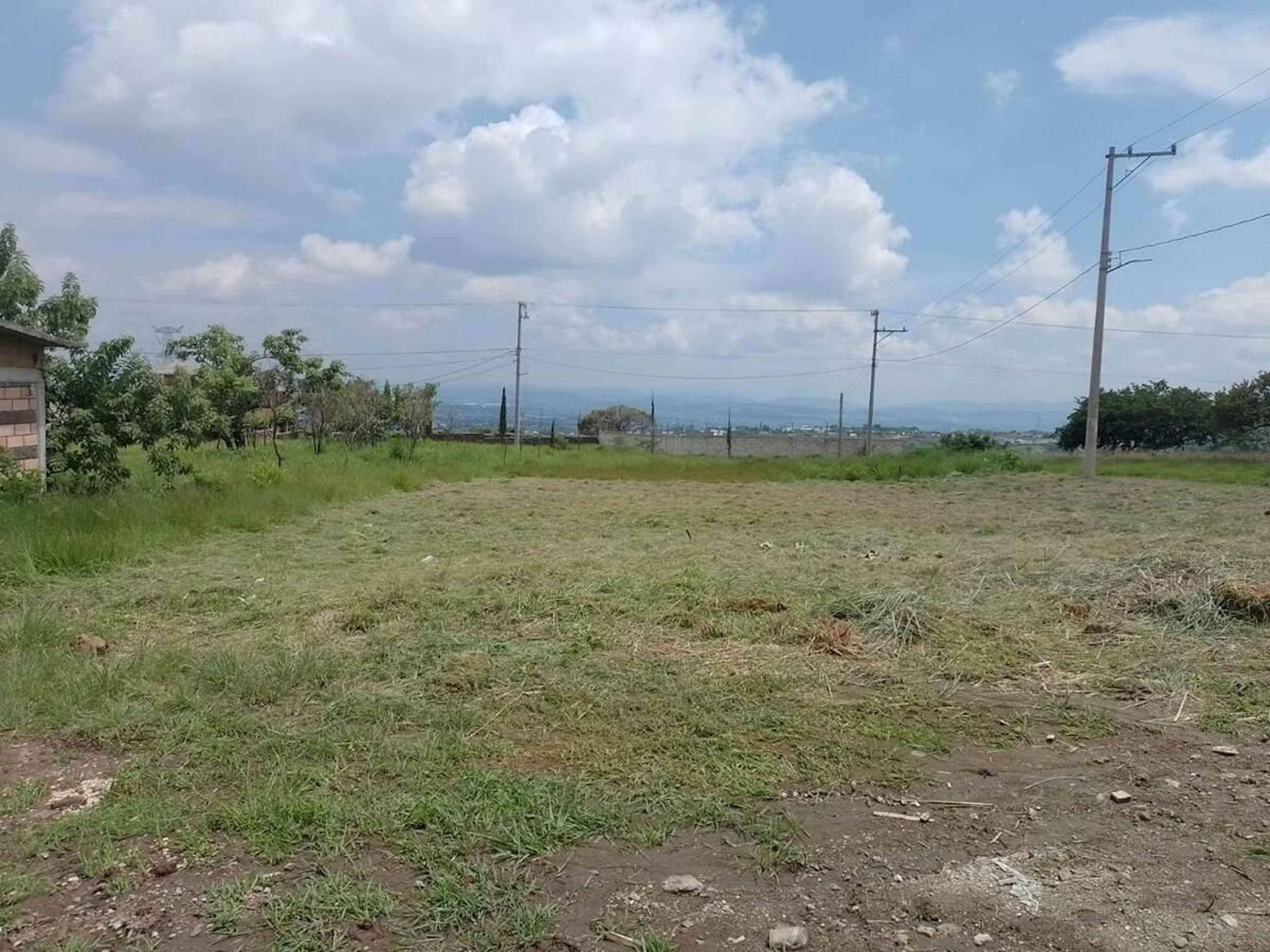 Calle No Reelección