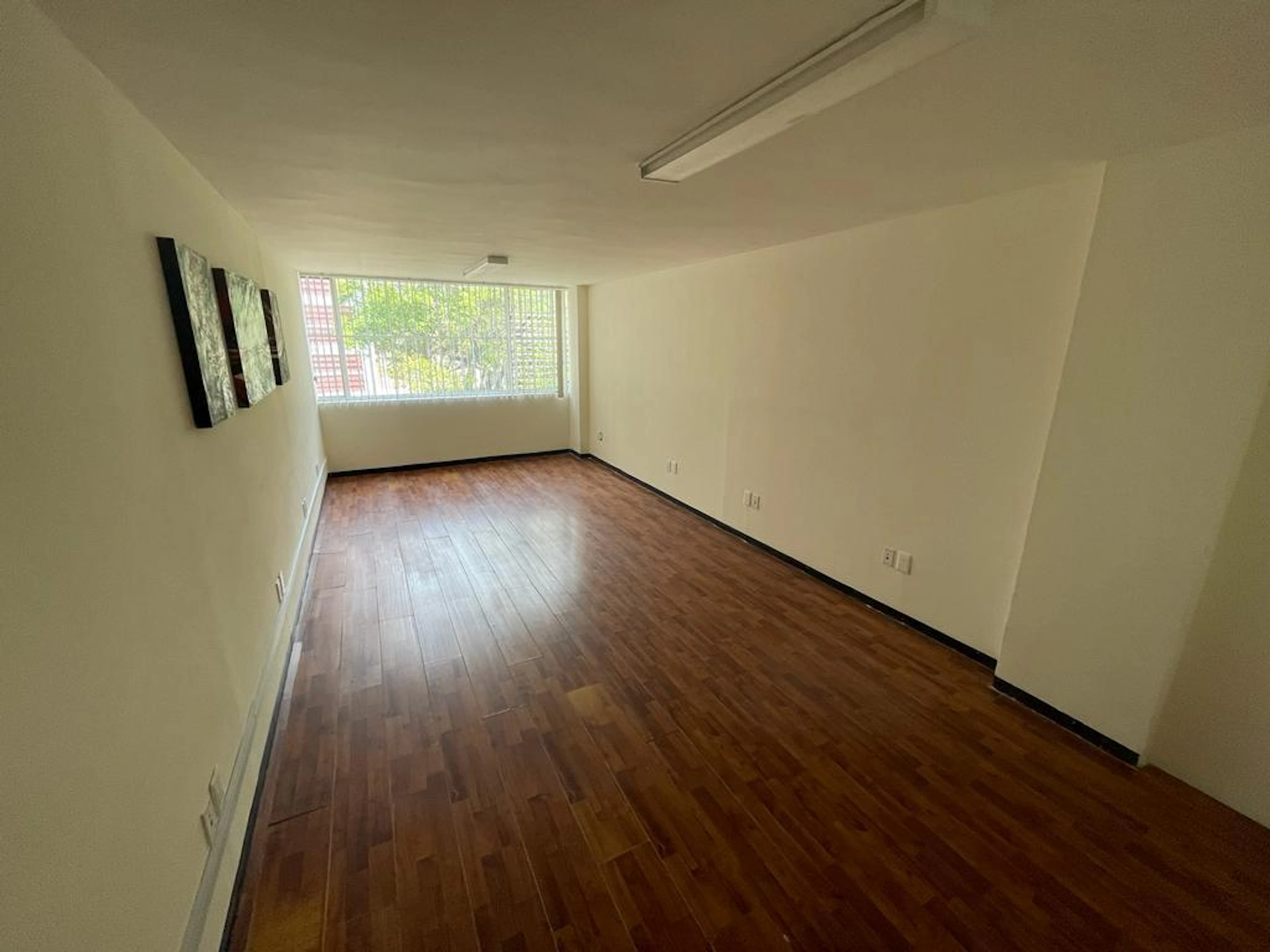 Oficina Grande Piso 3-photo
