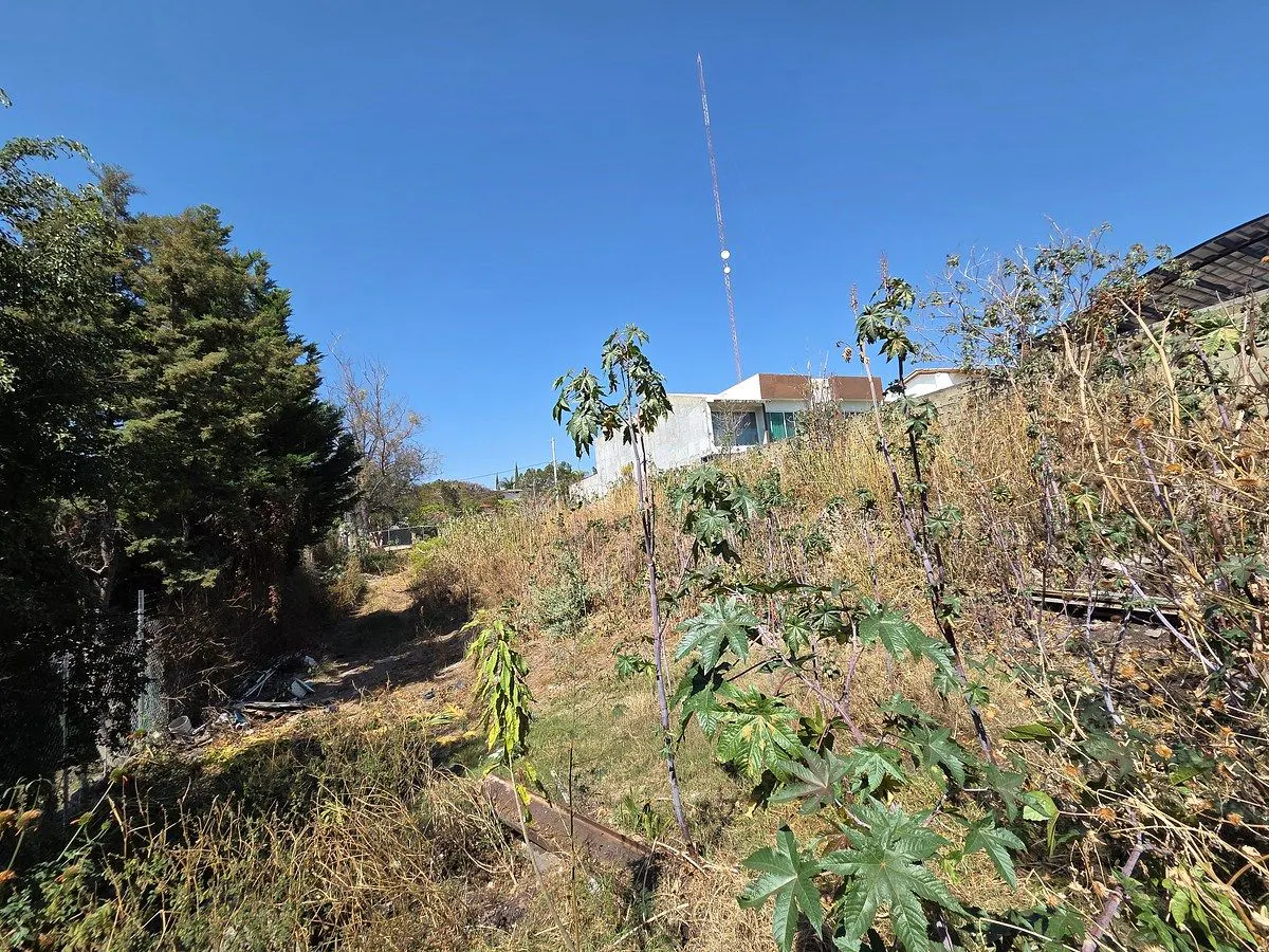 Terreno Spot2