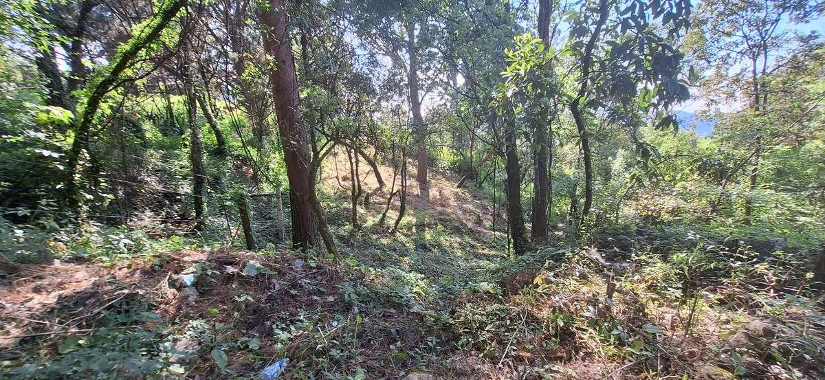 Terreno Spot2