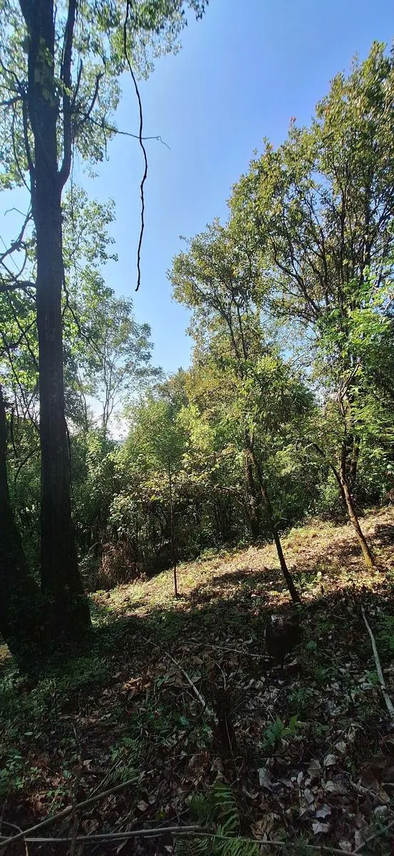 Terreno Spot2