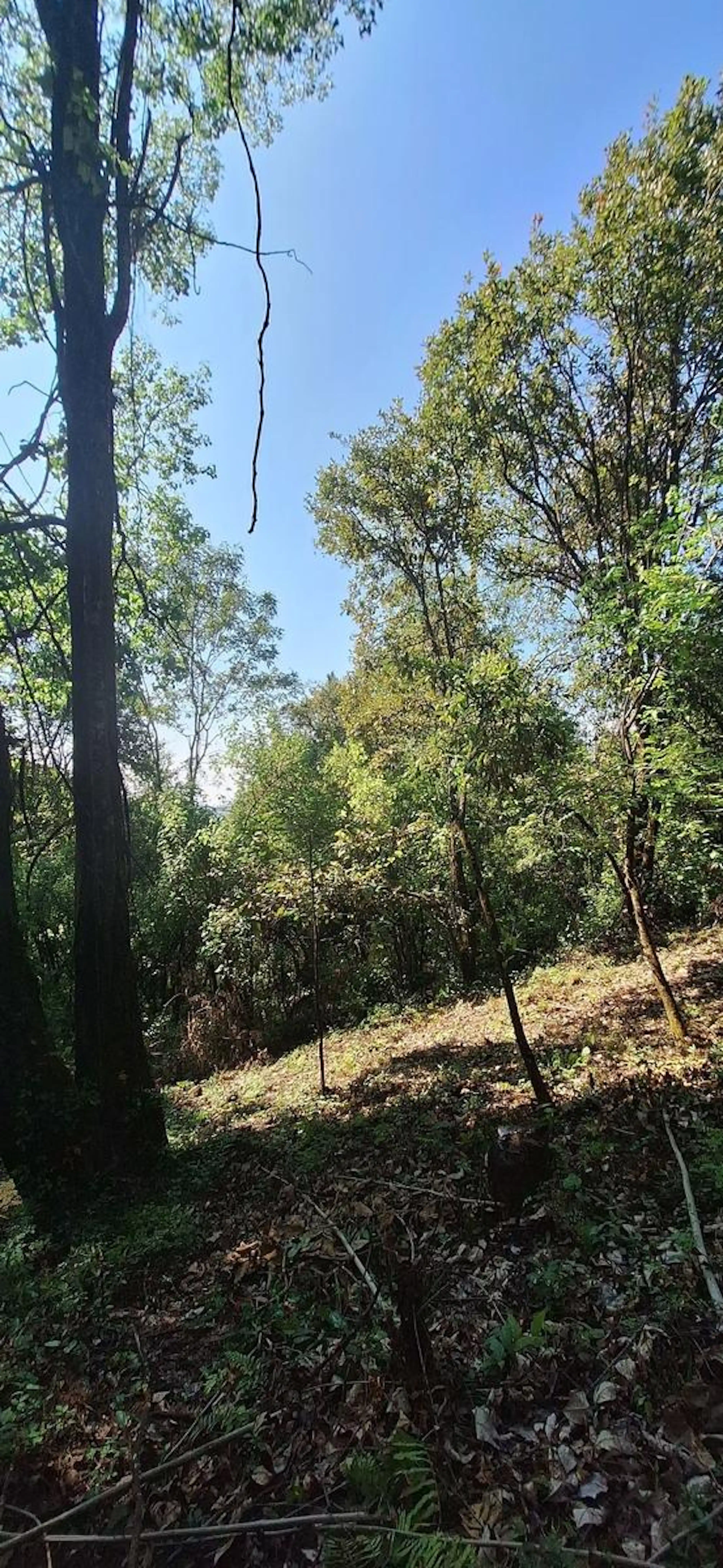 Terreno en Venta en El Castellano, Valle de Bravo