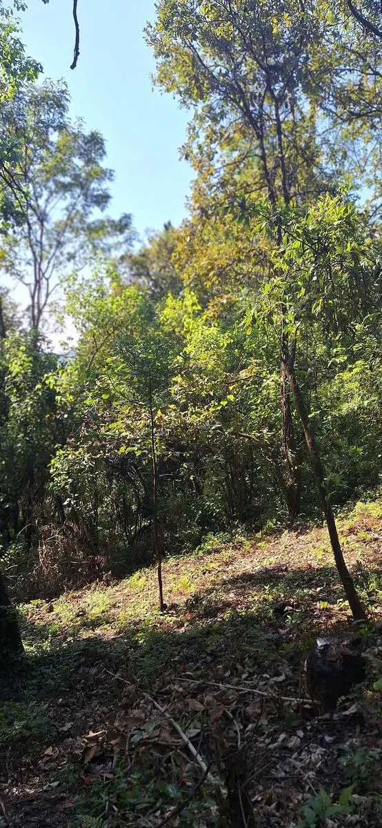 Terreno Spot2