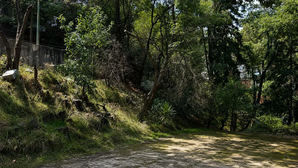 Terreno Spot2