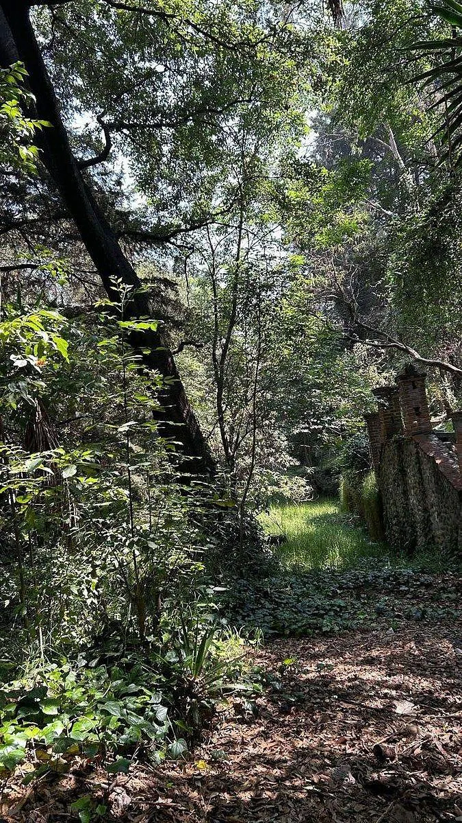 Terreno Spot2