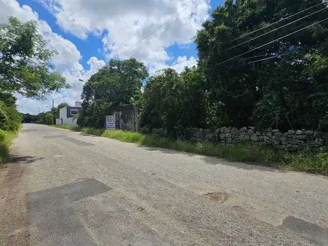 Terreno Spot2