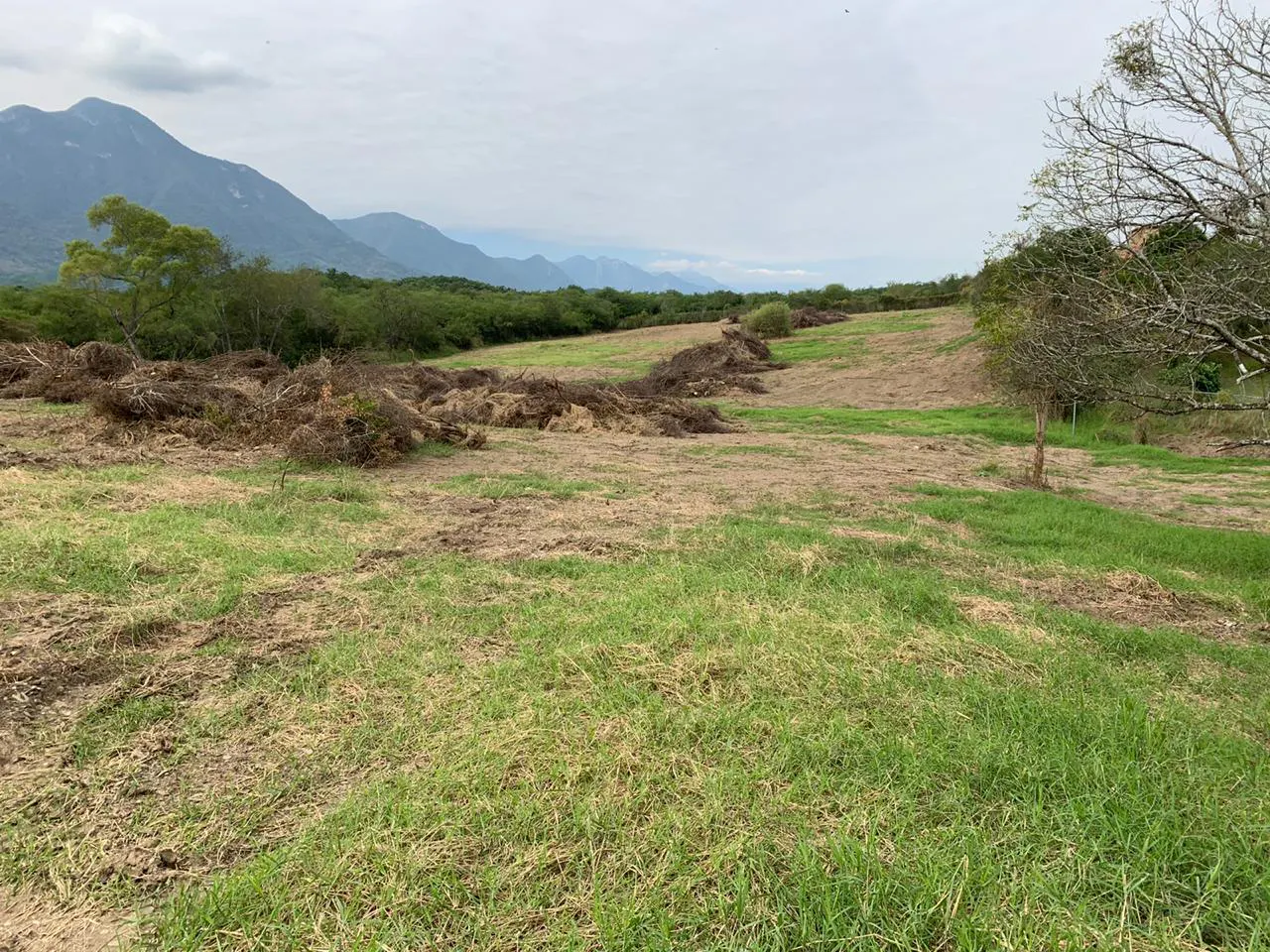Terreno Spot2