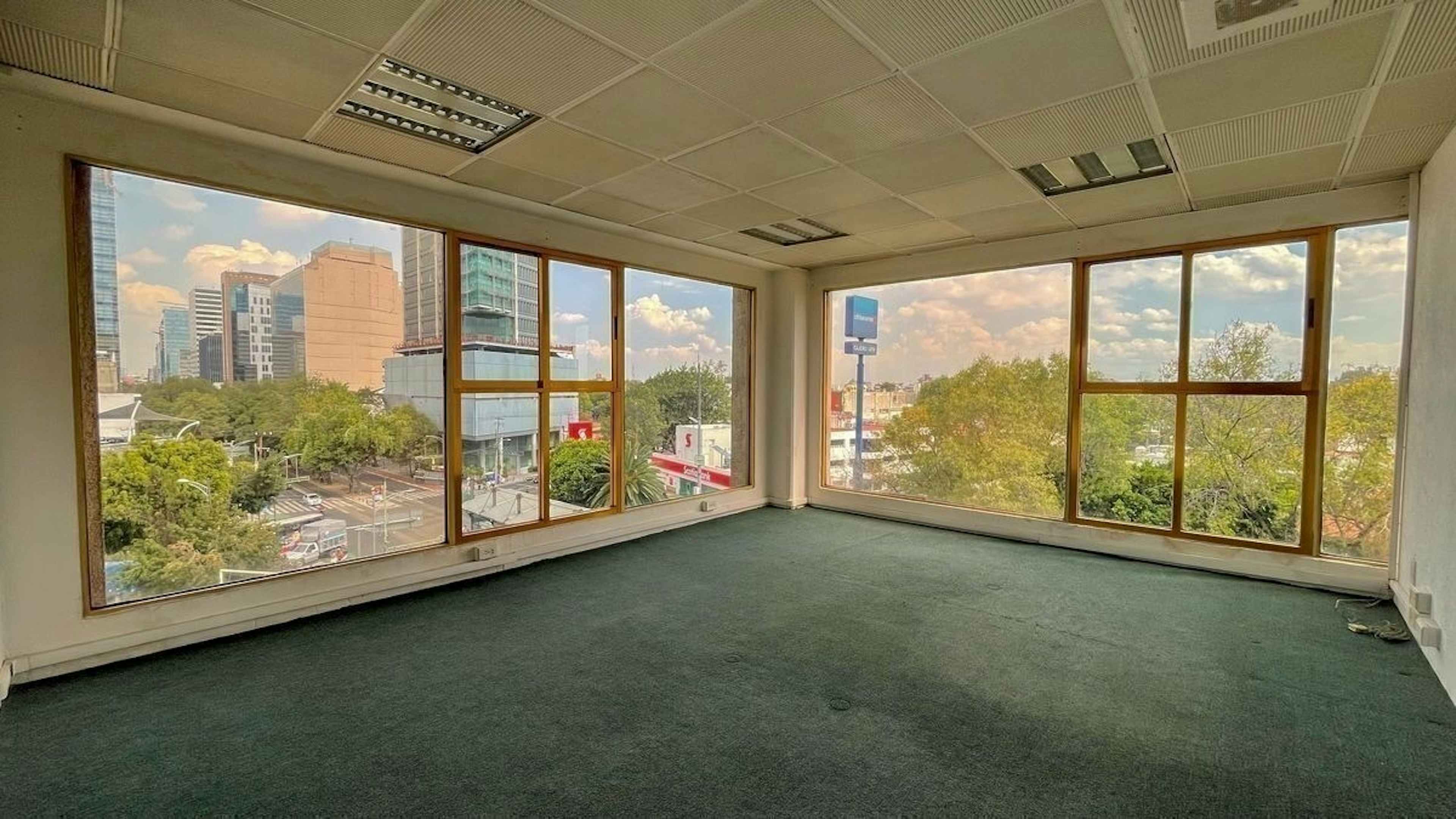 Avenida Insurgentes Sur