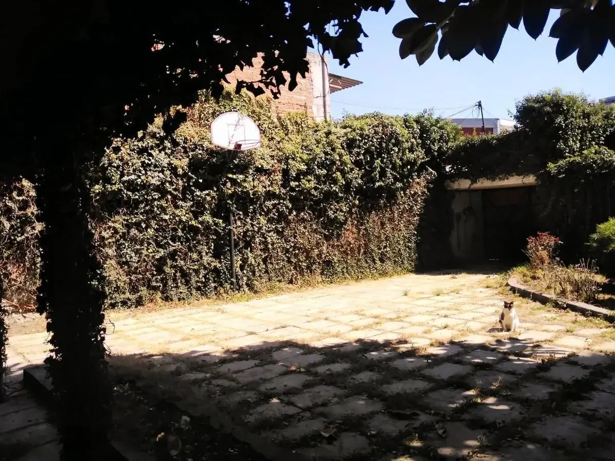 Terreno Spot2