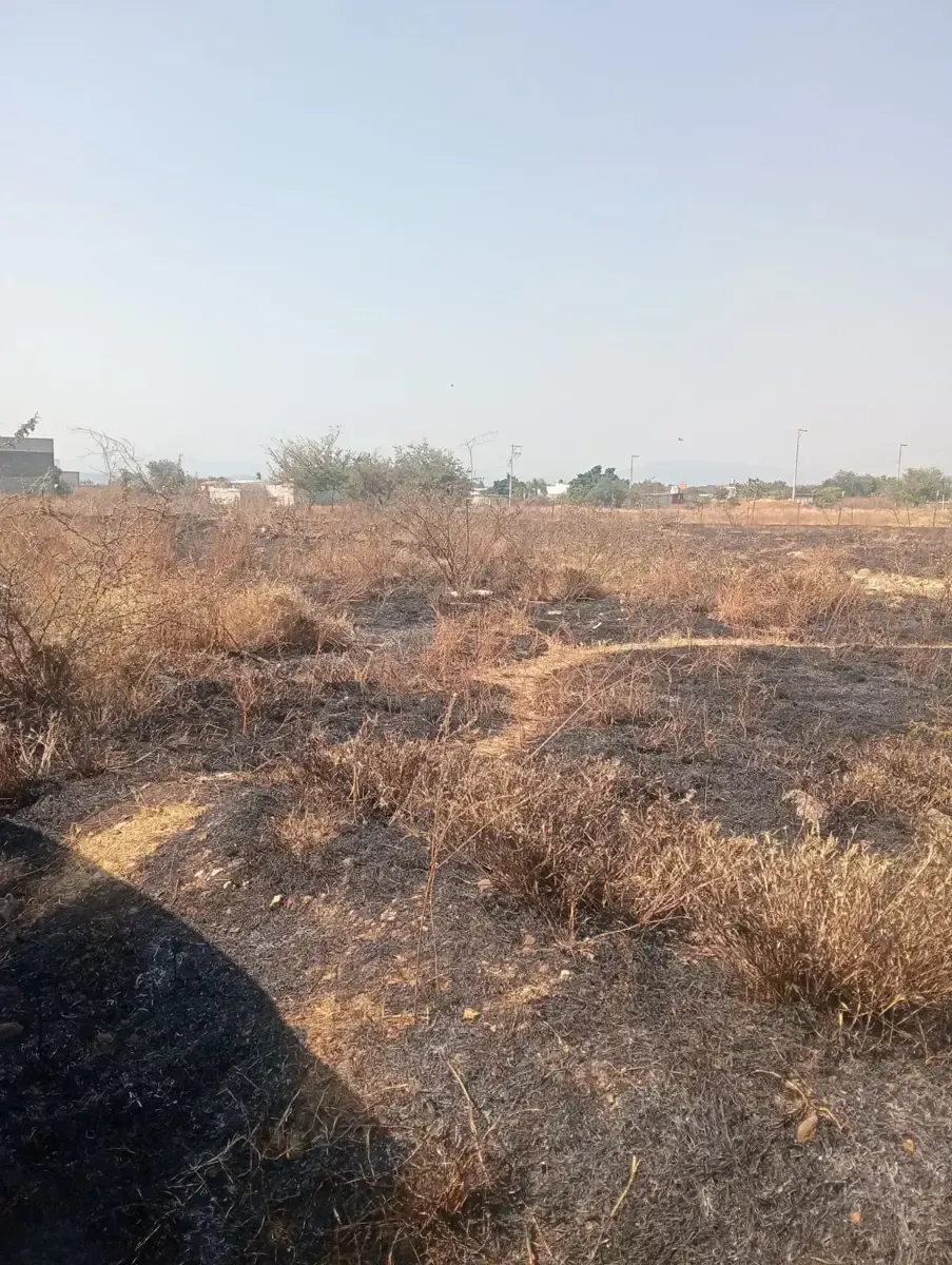 Terreno Spot2