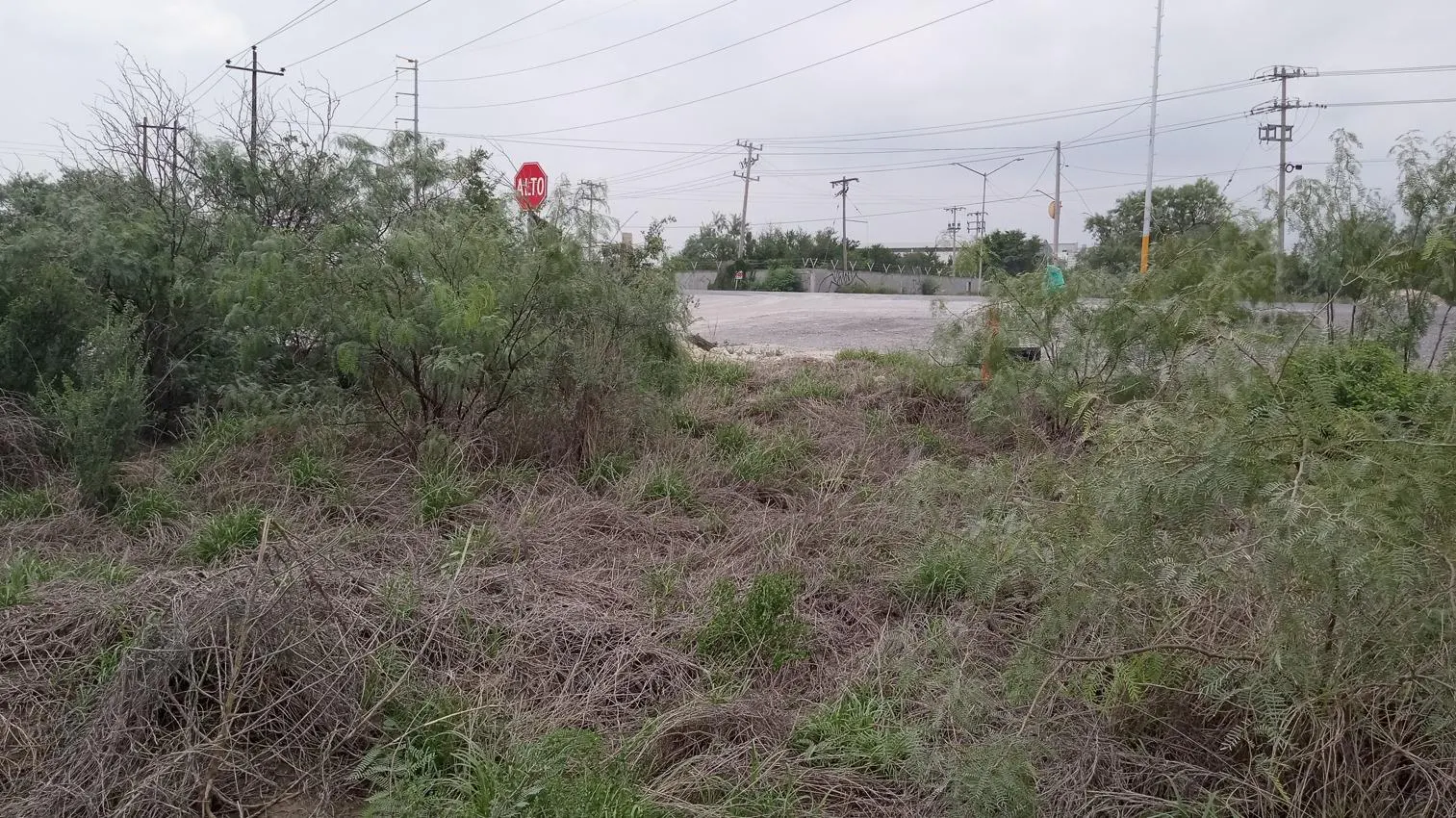 Terreno Spot2