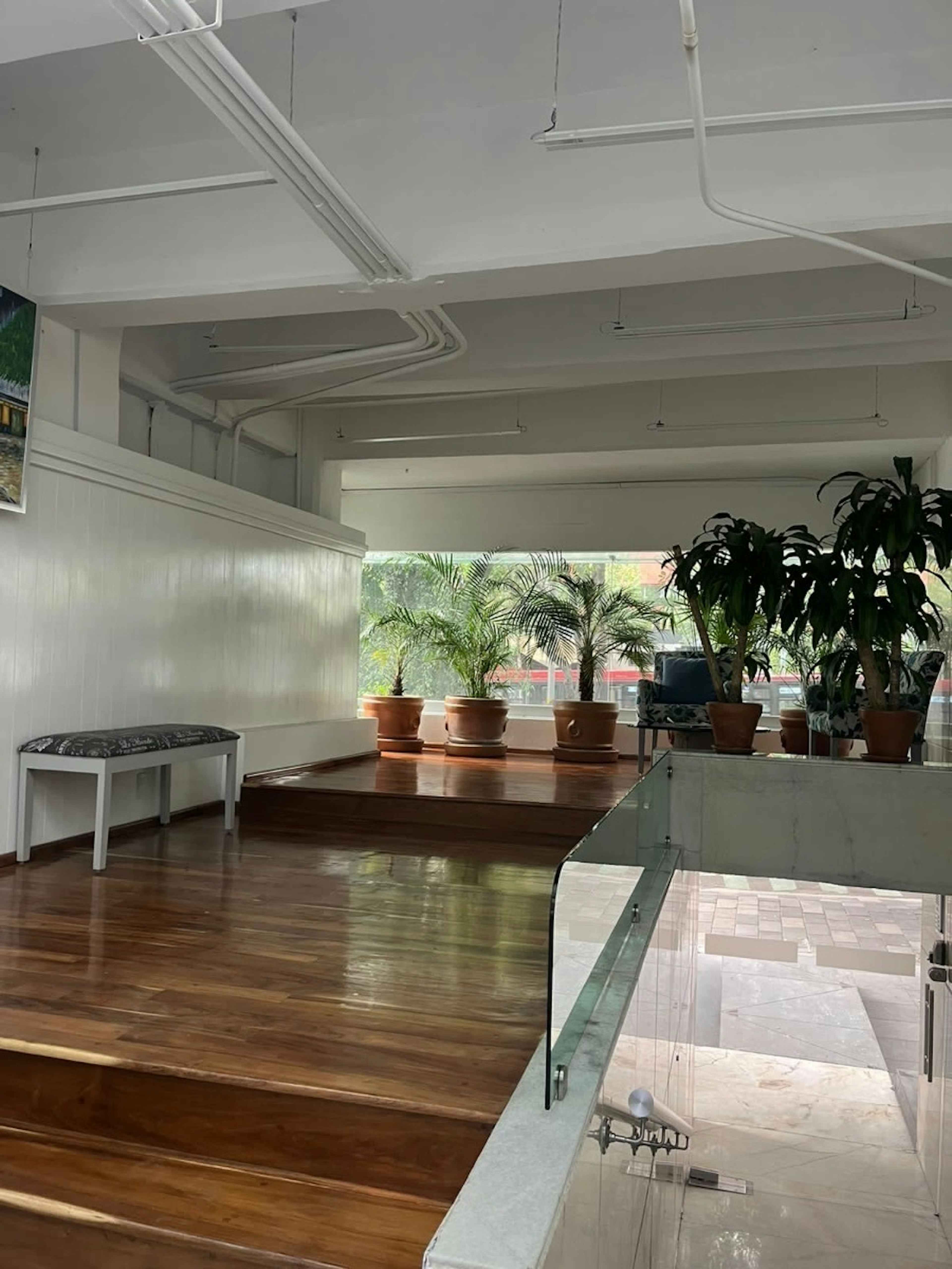 Avenida Insurgentes Sur