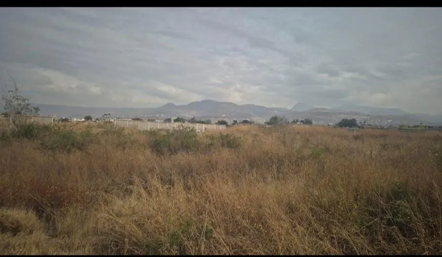 Terreno Spot2