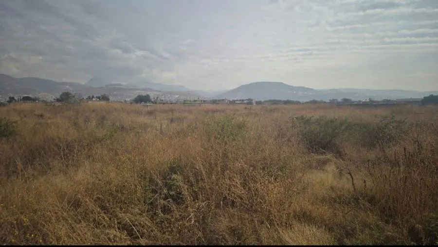 Terreno Spot2