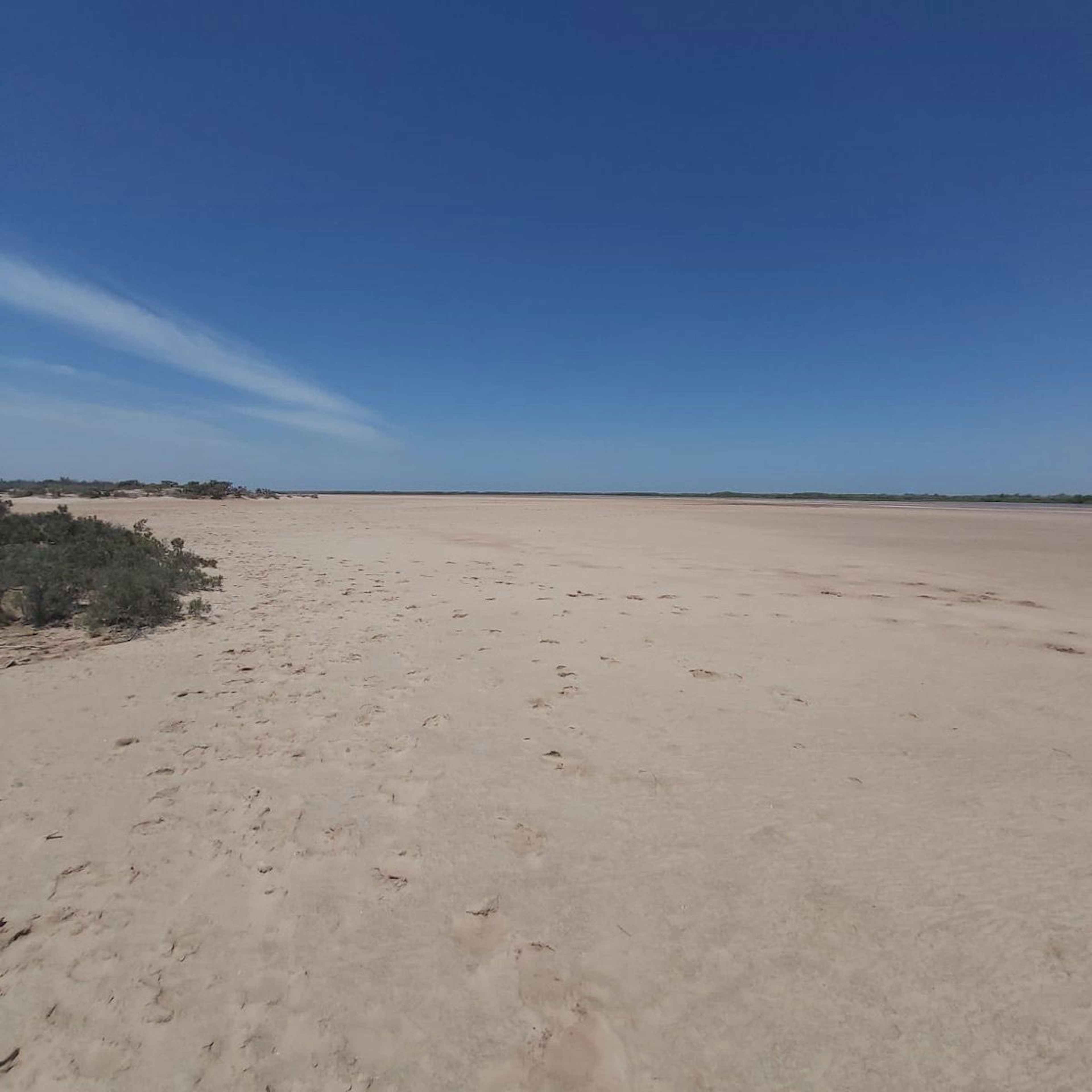 Los Mochis - Navojoa