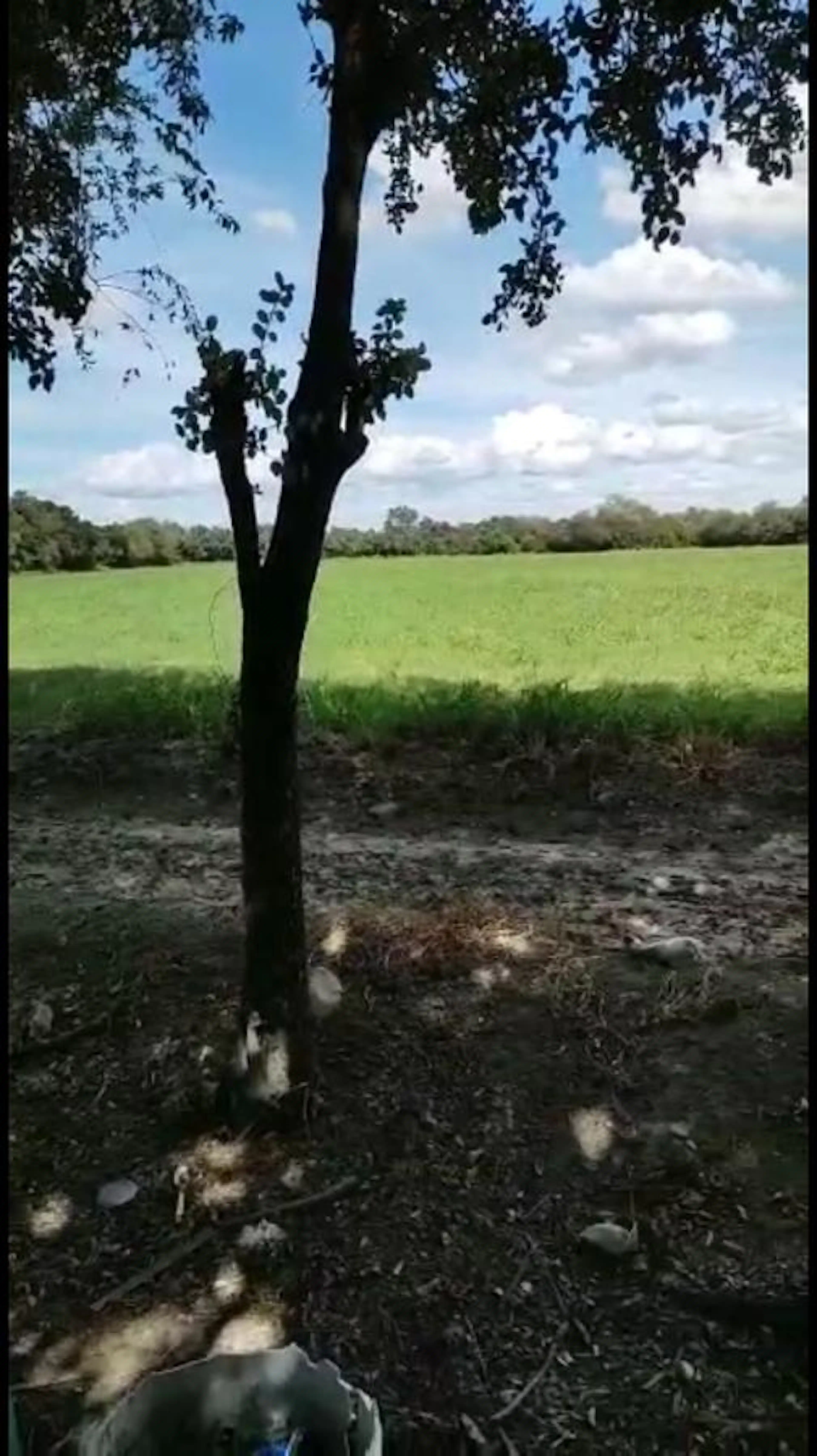 Terreno en venta 10 hectáreas Industrial Agua Fría Apodaca Nuevo León.