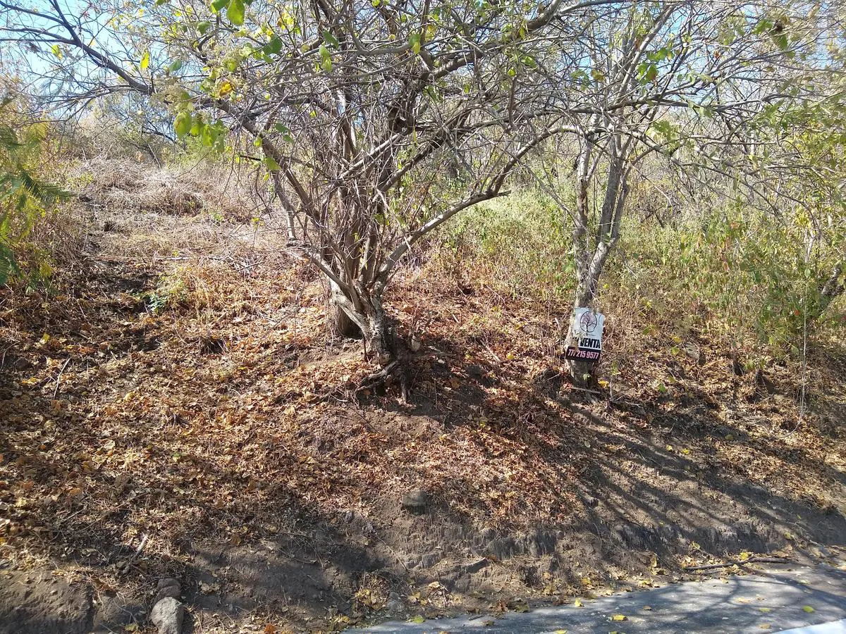 Terreno Spot2