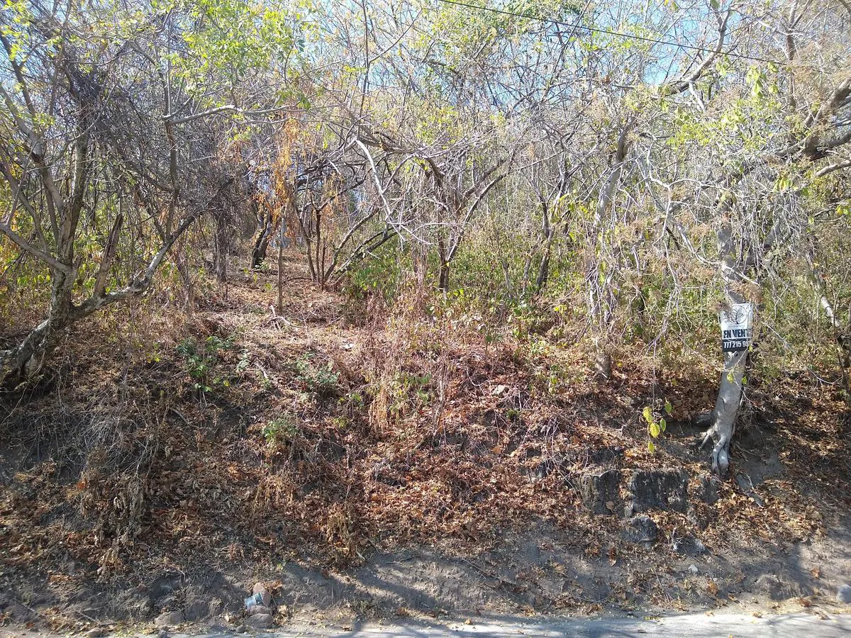 Terreno Spot2