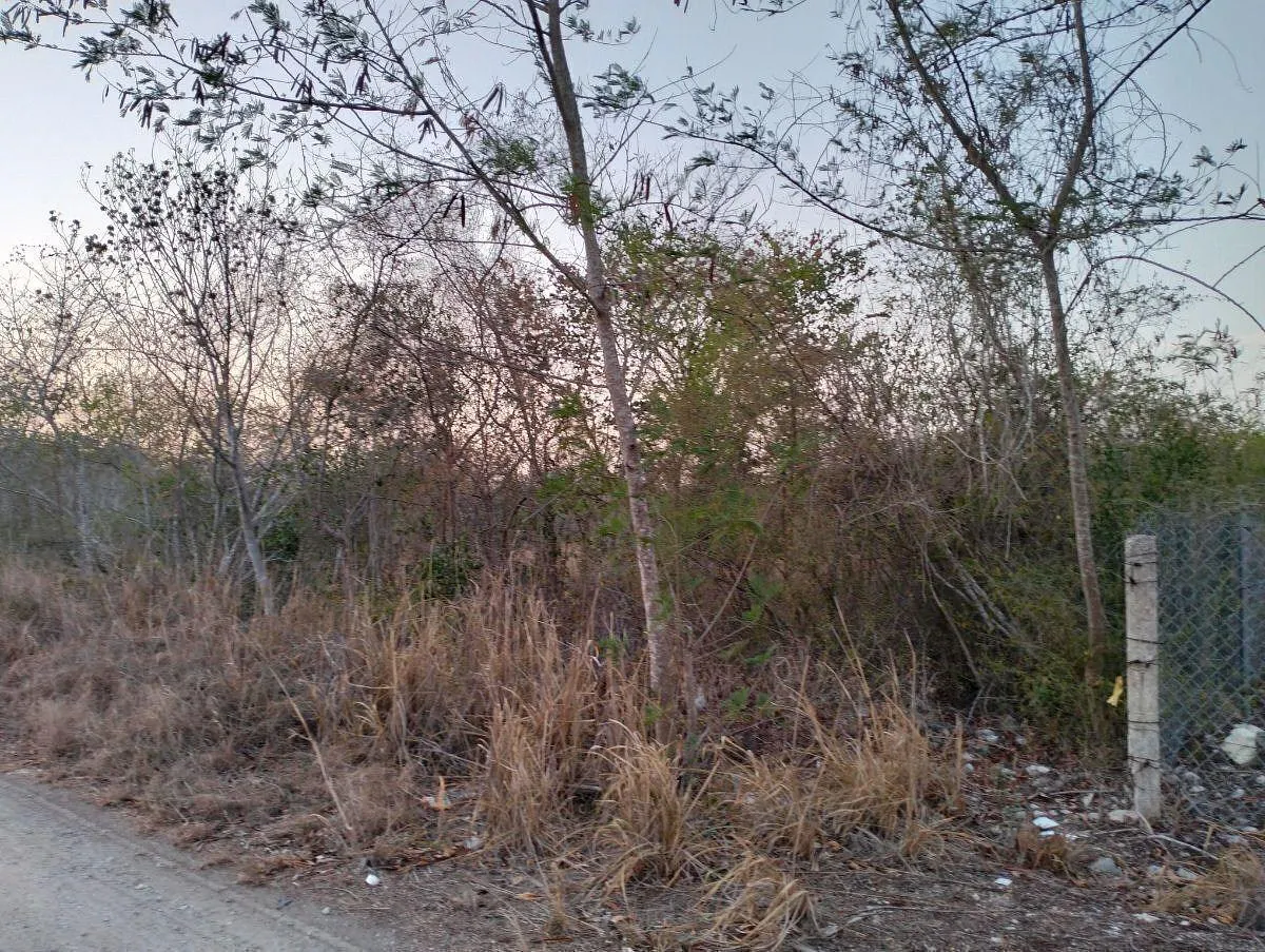 Terreno Spot2