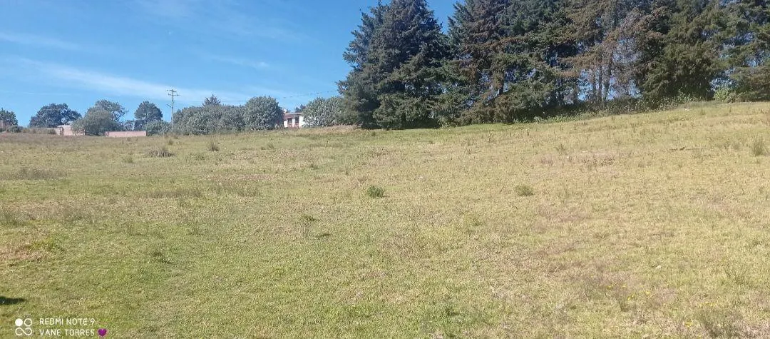 Terreno Spot2